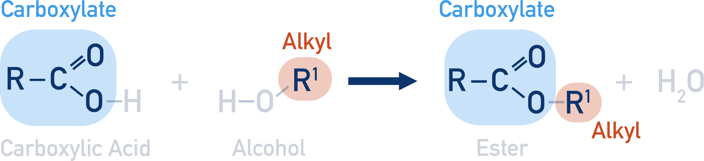how to name esters carboxylate alkyl