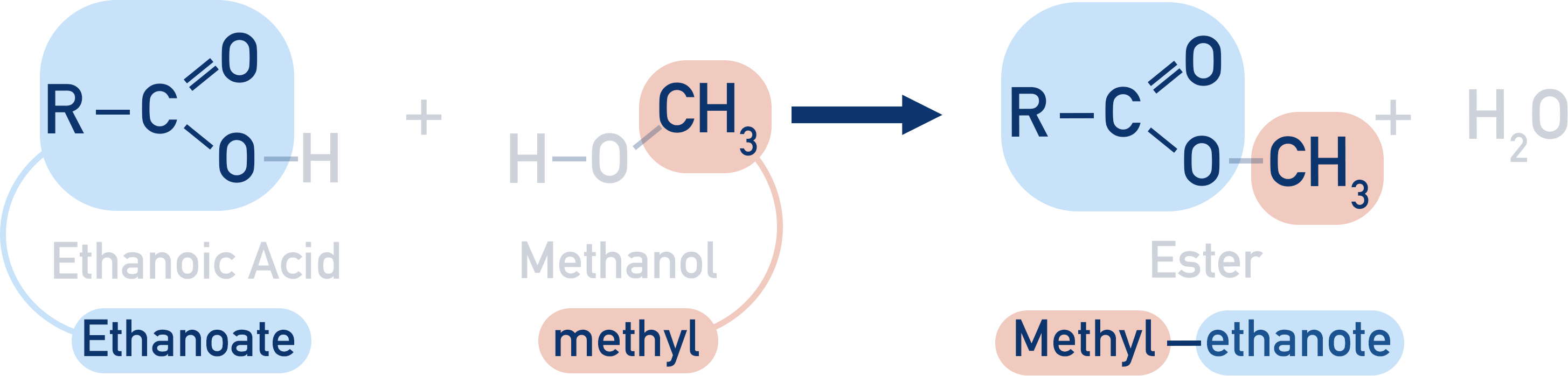 how to name methyl-ethanoate ester ethanoic acid and methanol