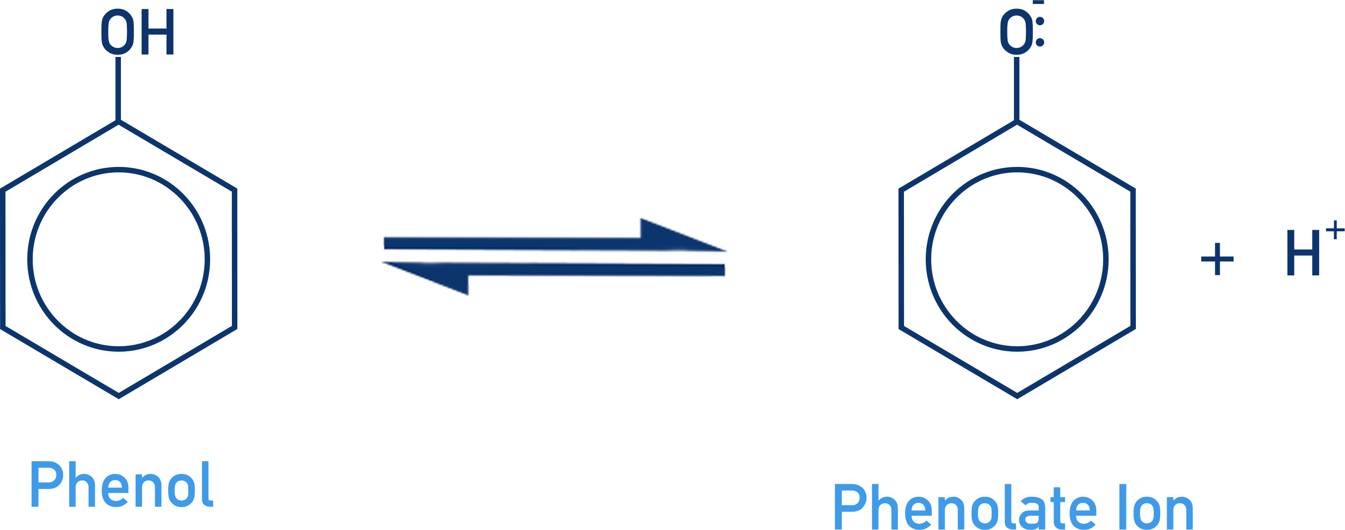 phenol weak acid phenolate ion