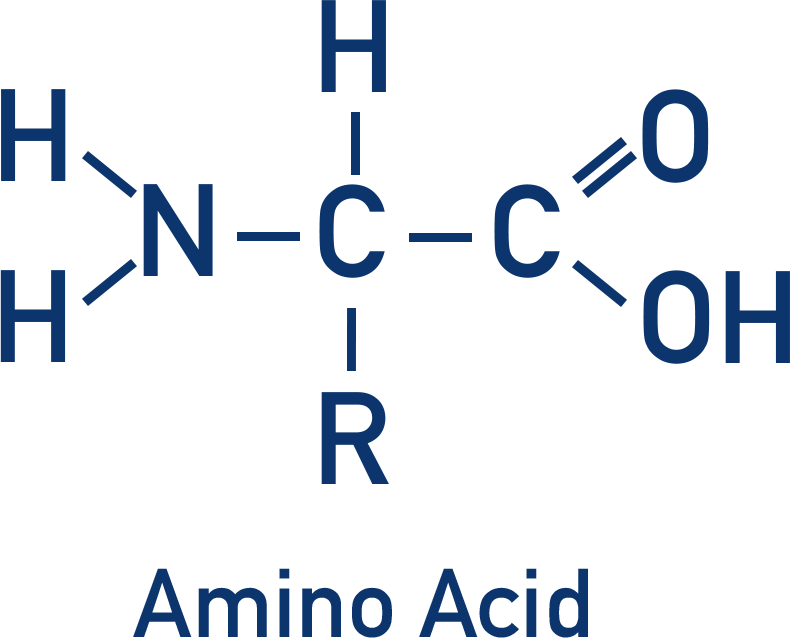 amino acid general structure