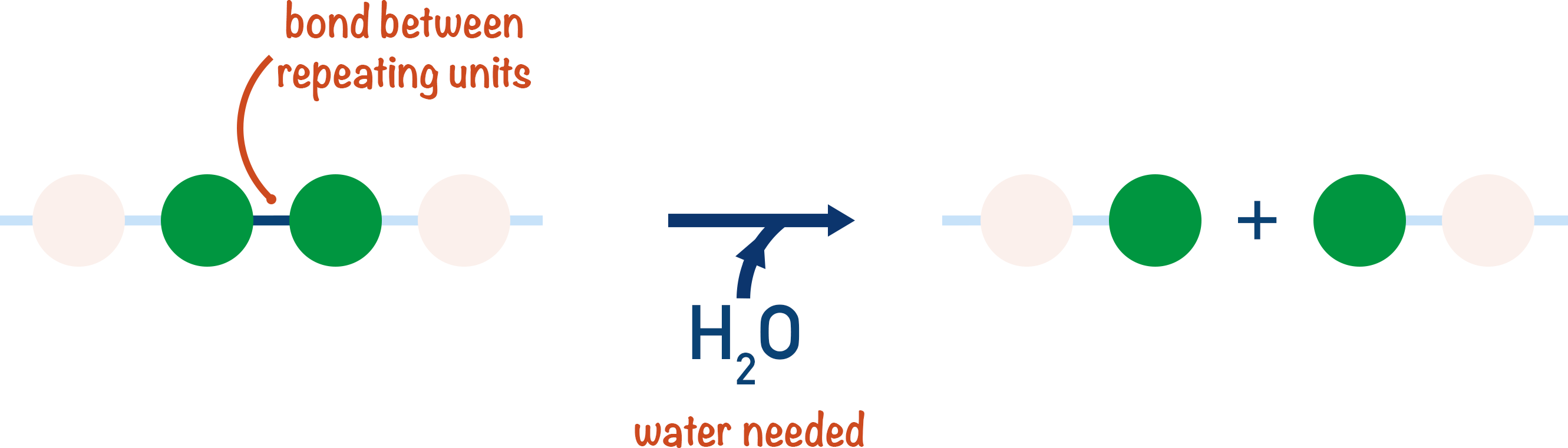 condensation polymerisation hydrolysis water