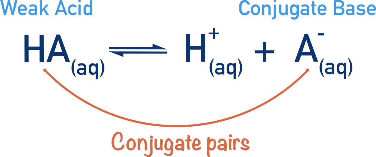 weak acid dissociation conjugate acid base pair