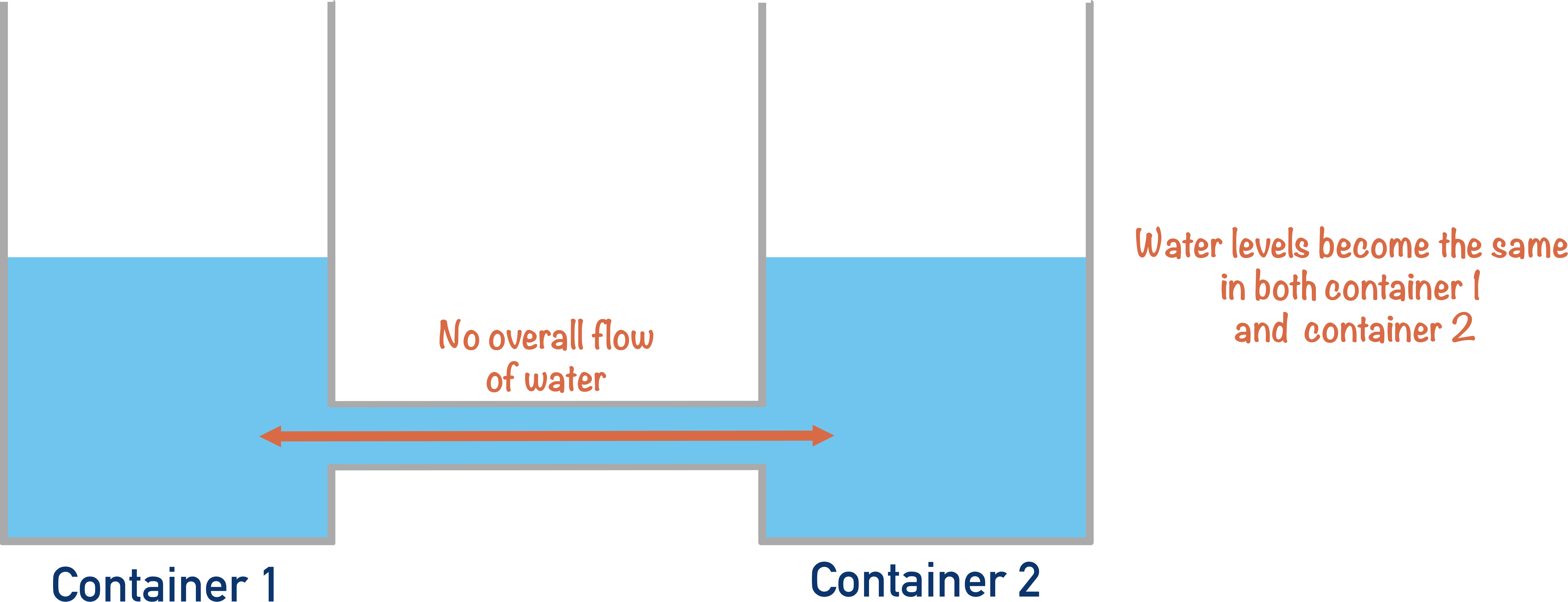 diagram to show no water moving between two containers due to even water level