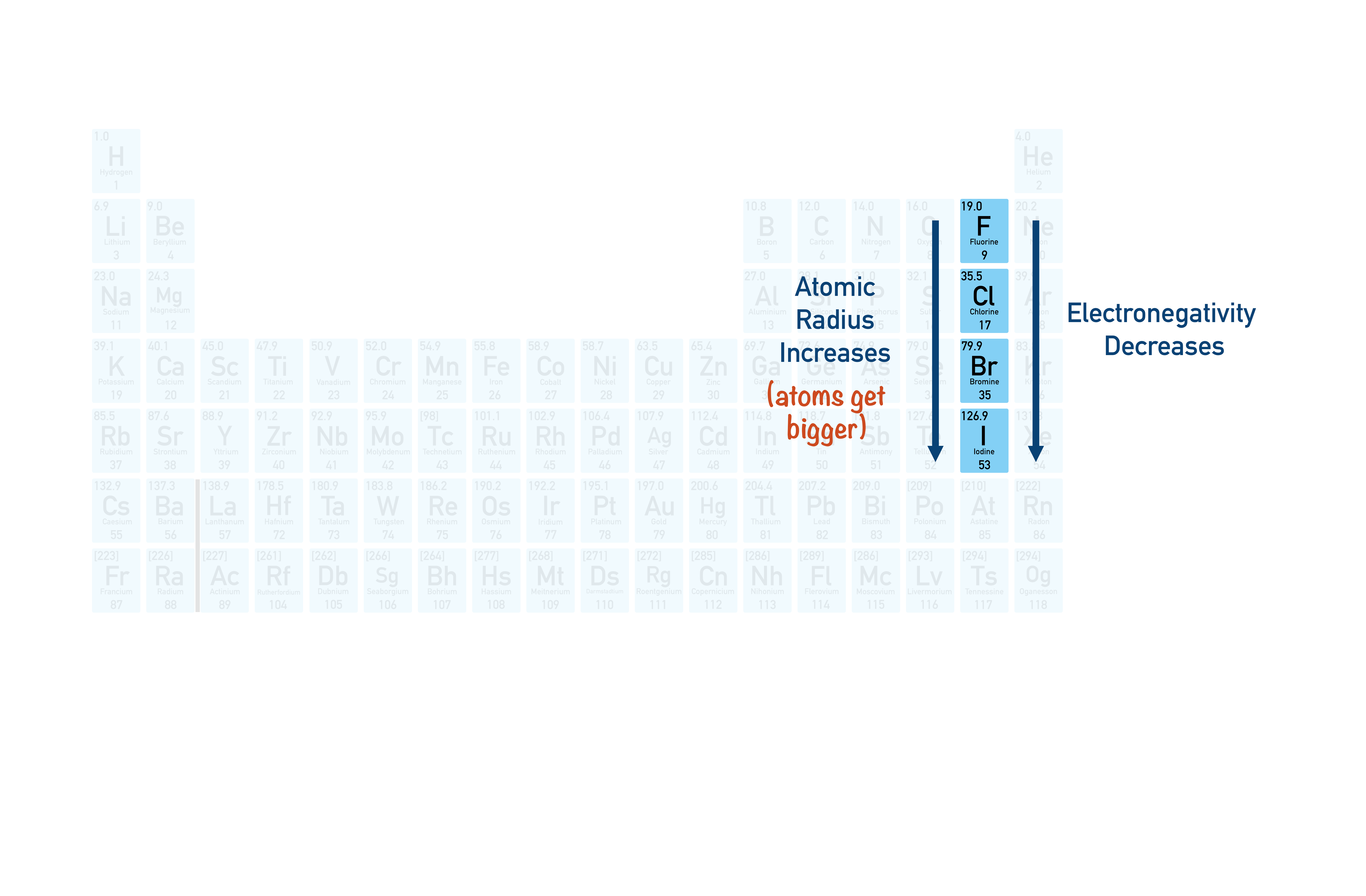 how electronegativity of the halogens changes down group 7 periodic table