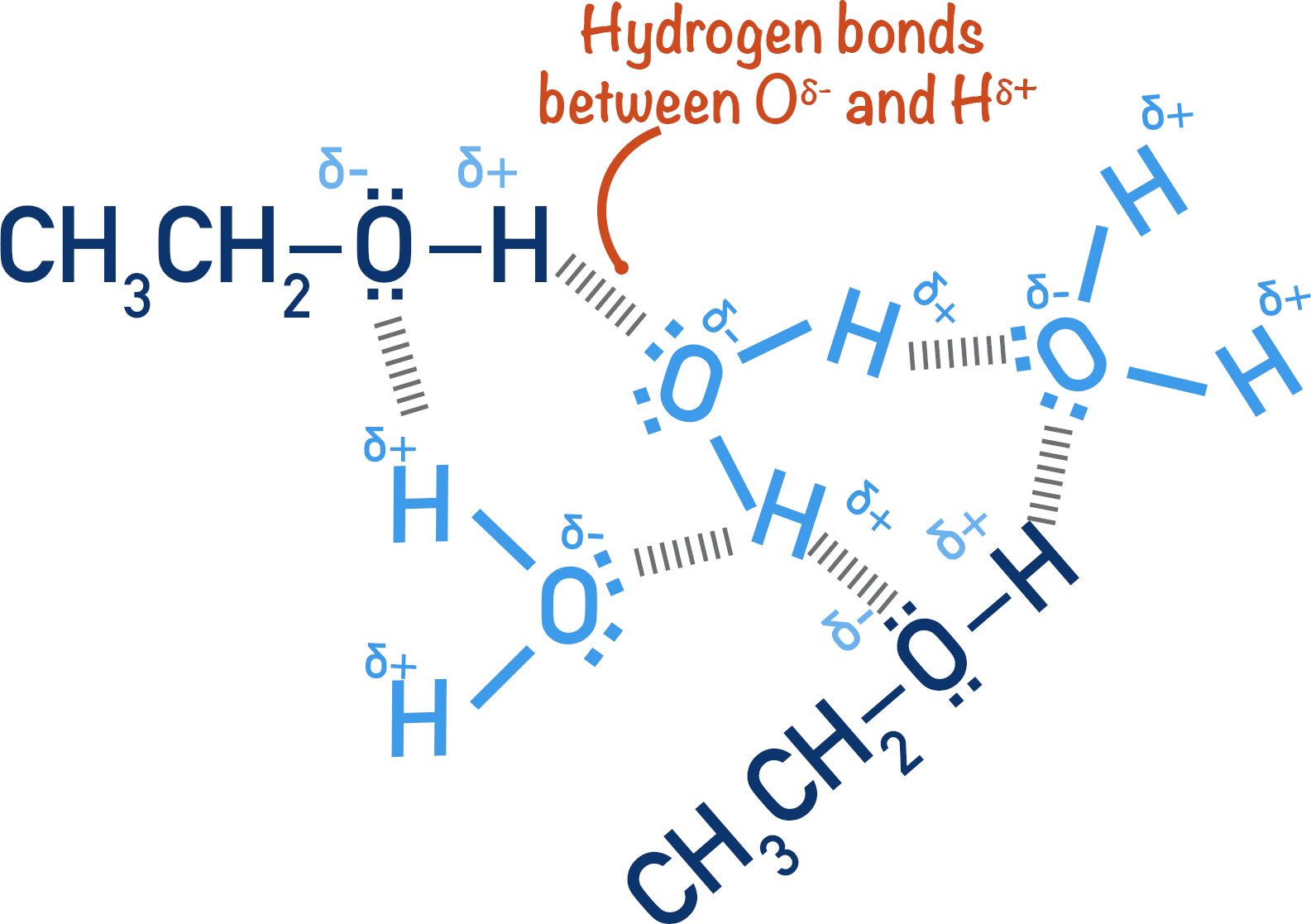 hydrogen bonding between ethanol and water