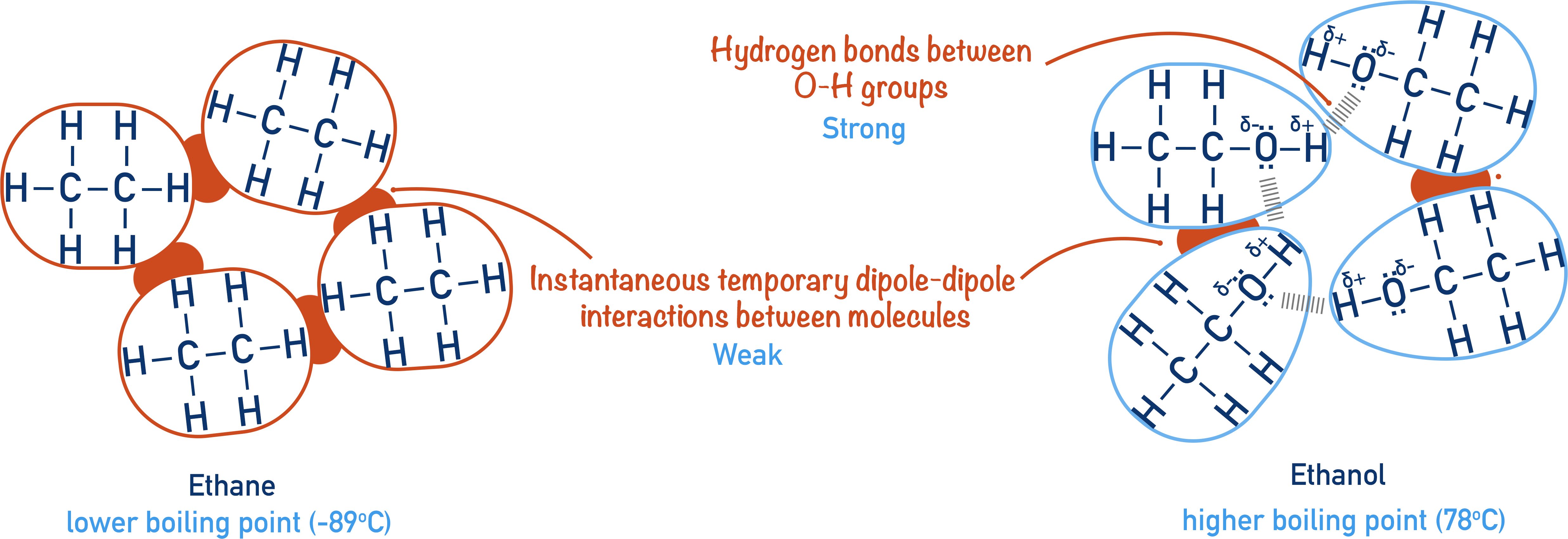 hydrogen bonding between ethanol and intermolecular forces between ethane