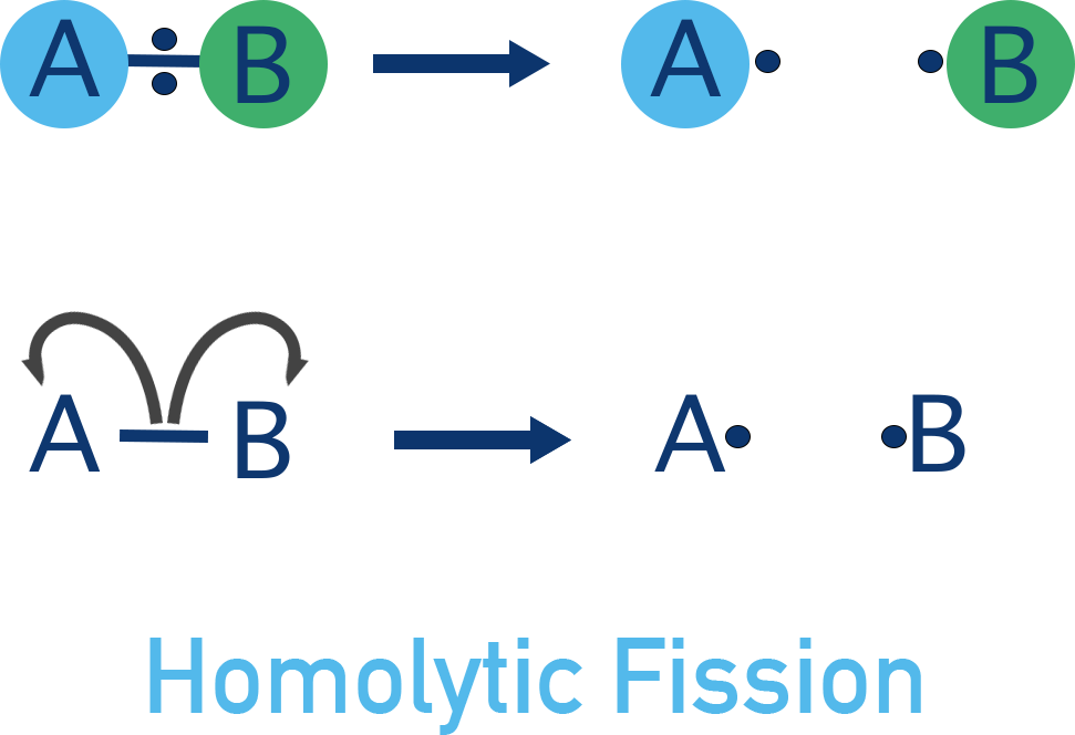 homolytic bond fission forming free radicals
