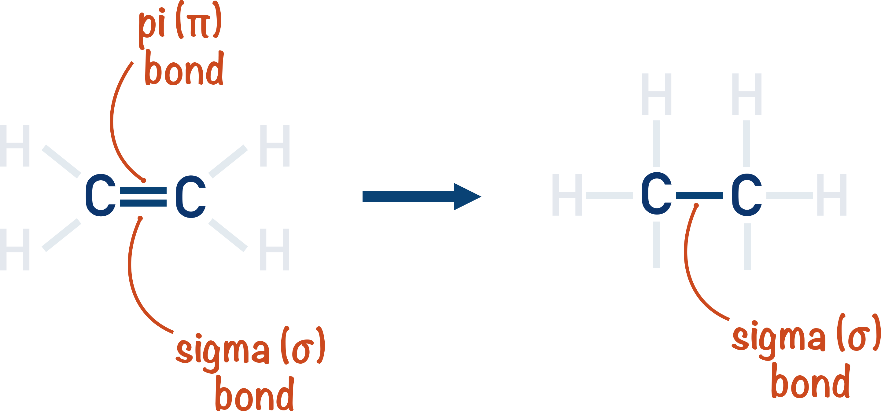 carbon double bond sigma pi
