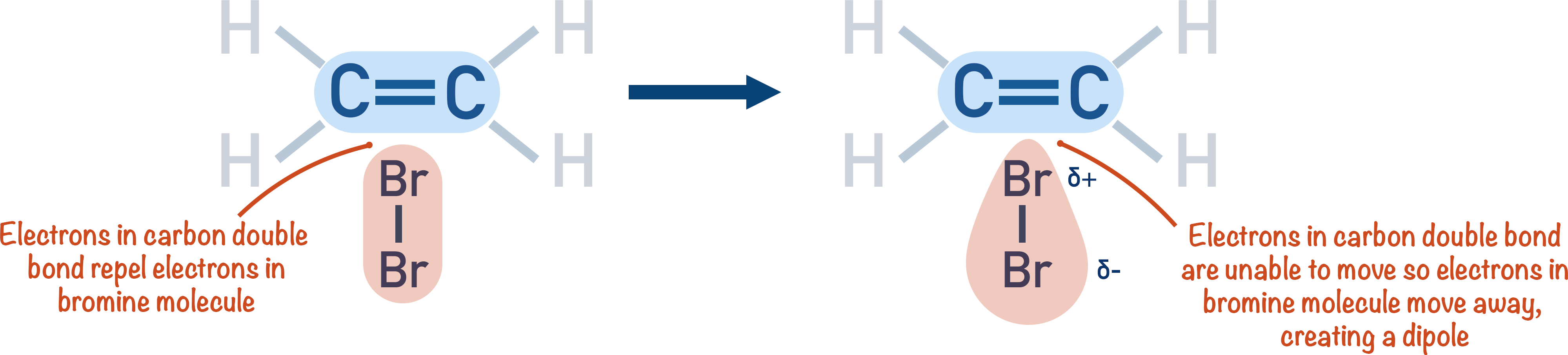 polarisation of bromine molecule by alkene electrophilic addition ethene and bromine