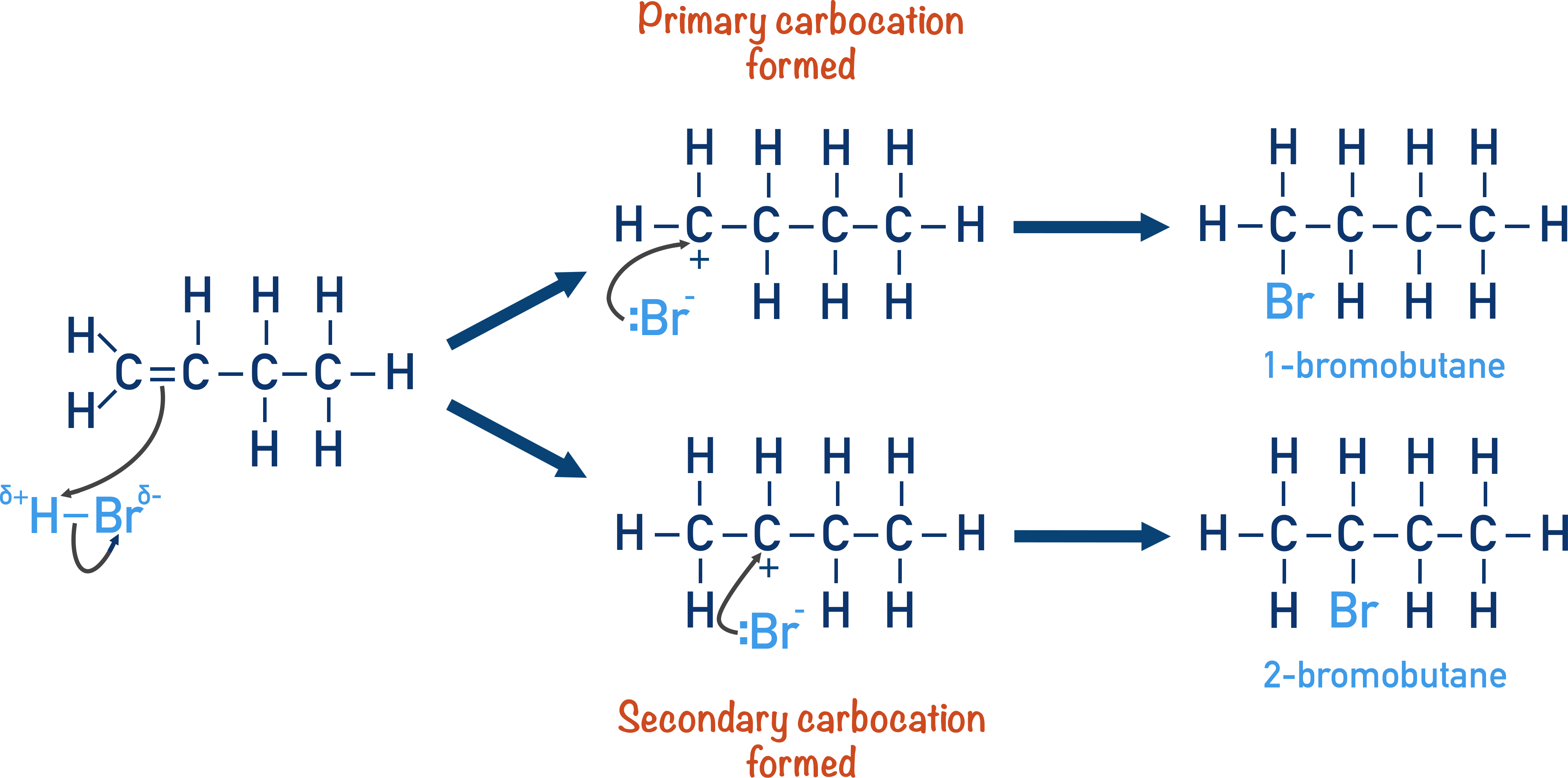 electrophilic addition alkene major and minor products butene with hydrogen bromide