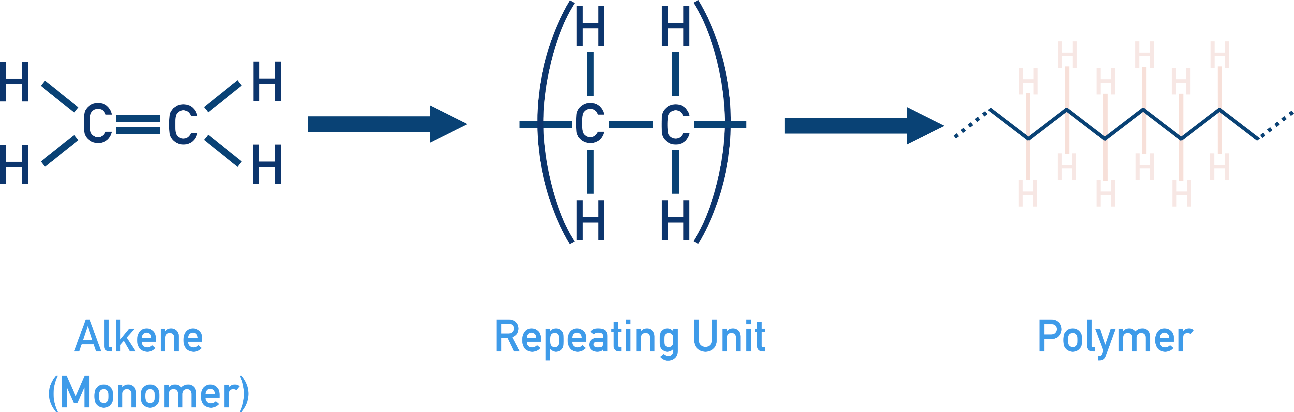 forming a polymer from an alkene