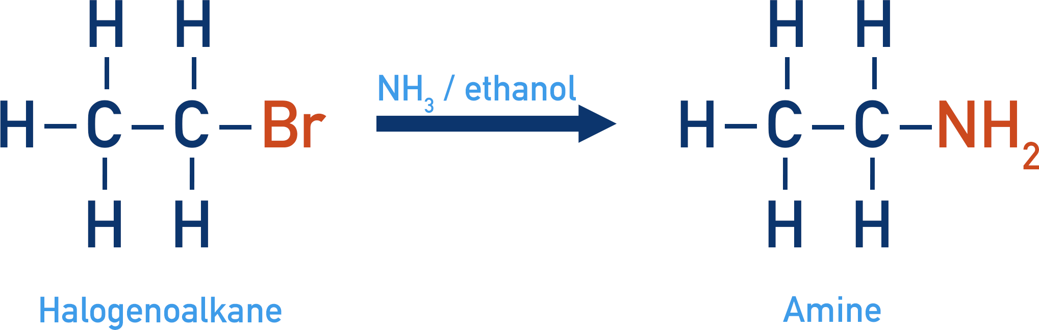 reaction between halogenoalkane bromoethane and ammonia to form amine