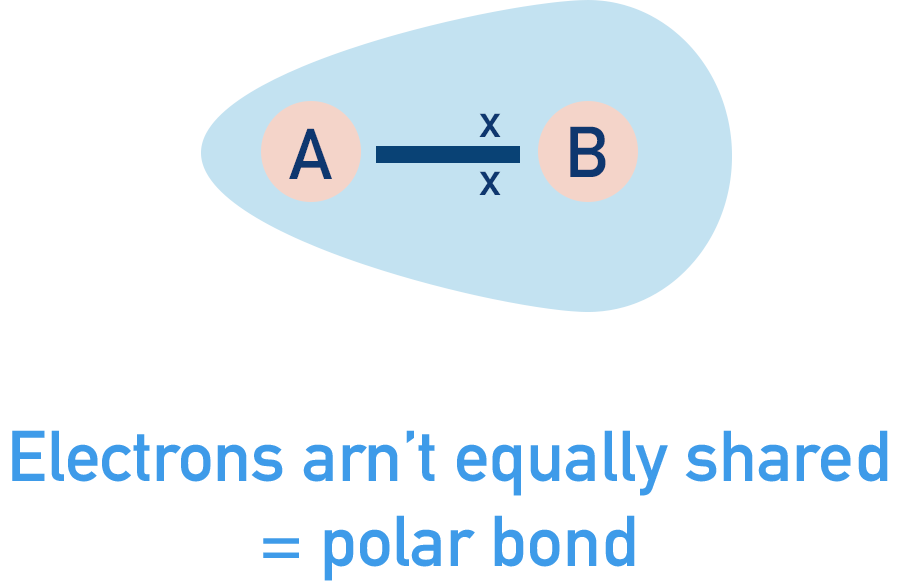 electronegativity polar bond formation