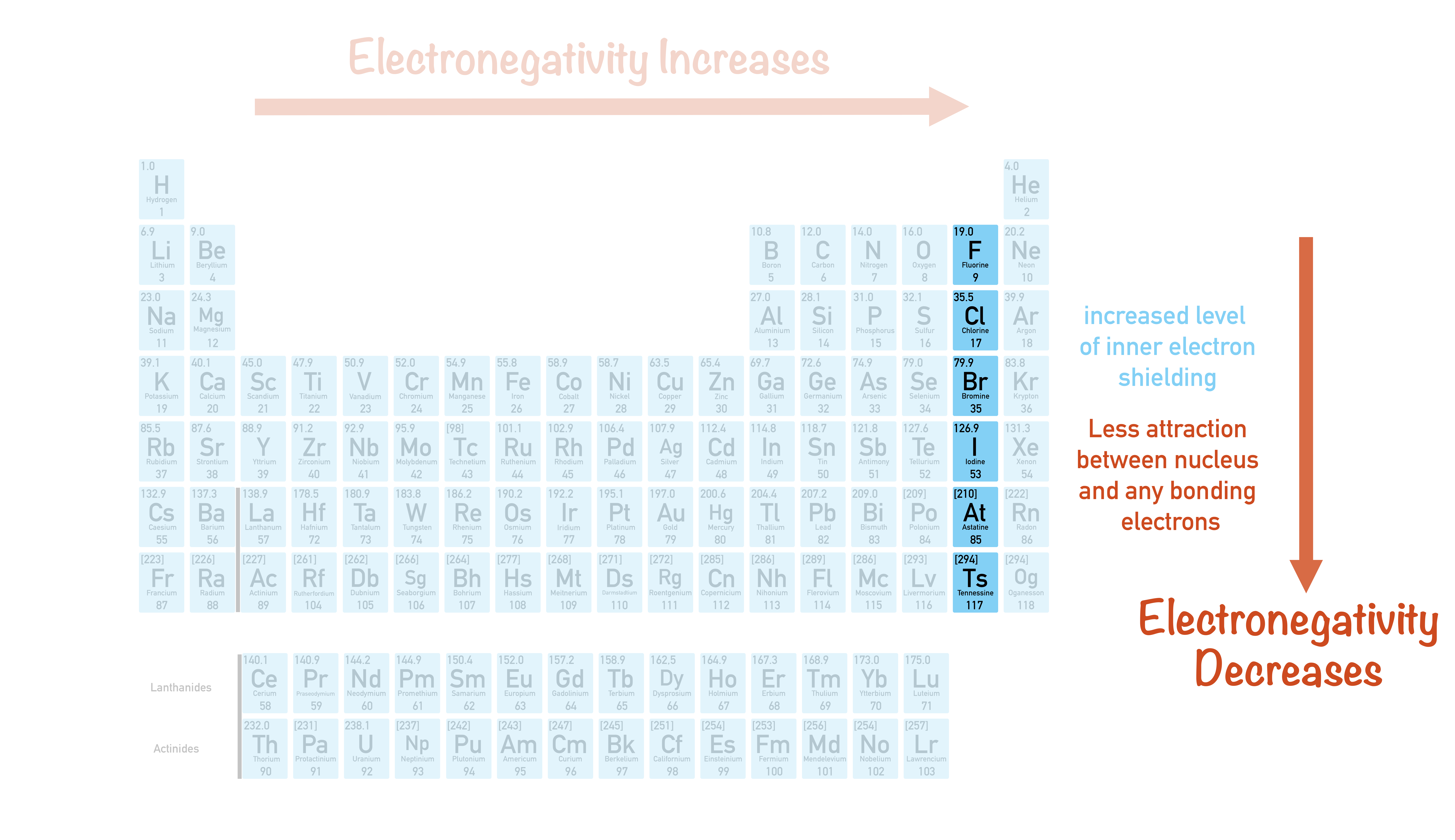 electronegativity trends periodic table increases across a period as atomic radius decreases