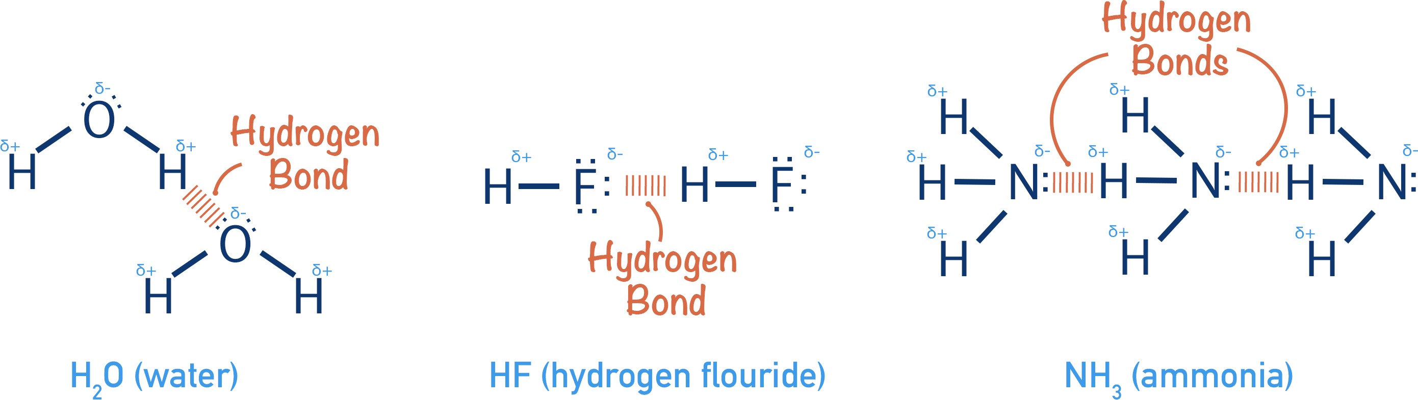 hydrogen bond bonding intermolecular forces ammonia water