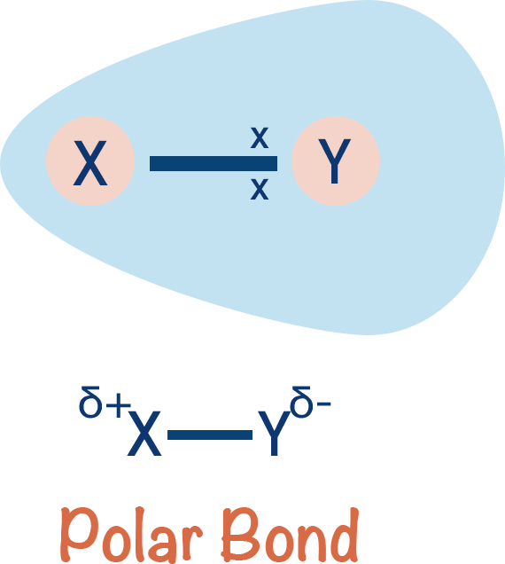 electronegativity polar bond unequal electron distribution partial negative charge