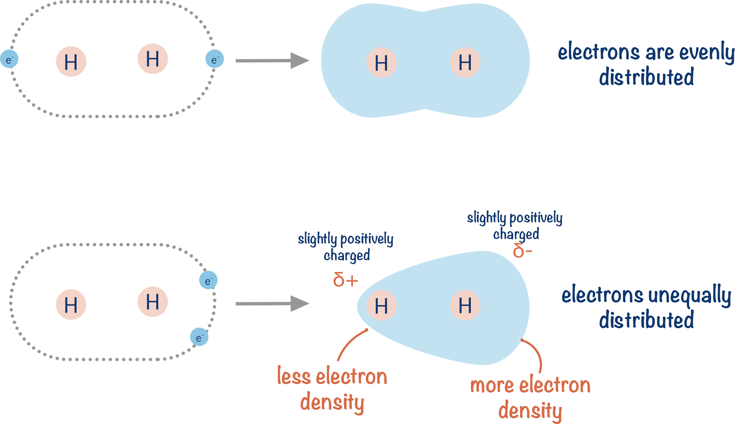 electron distribution covalent bonding temporary dipole partial positive negative charge