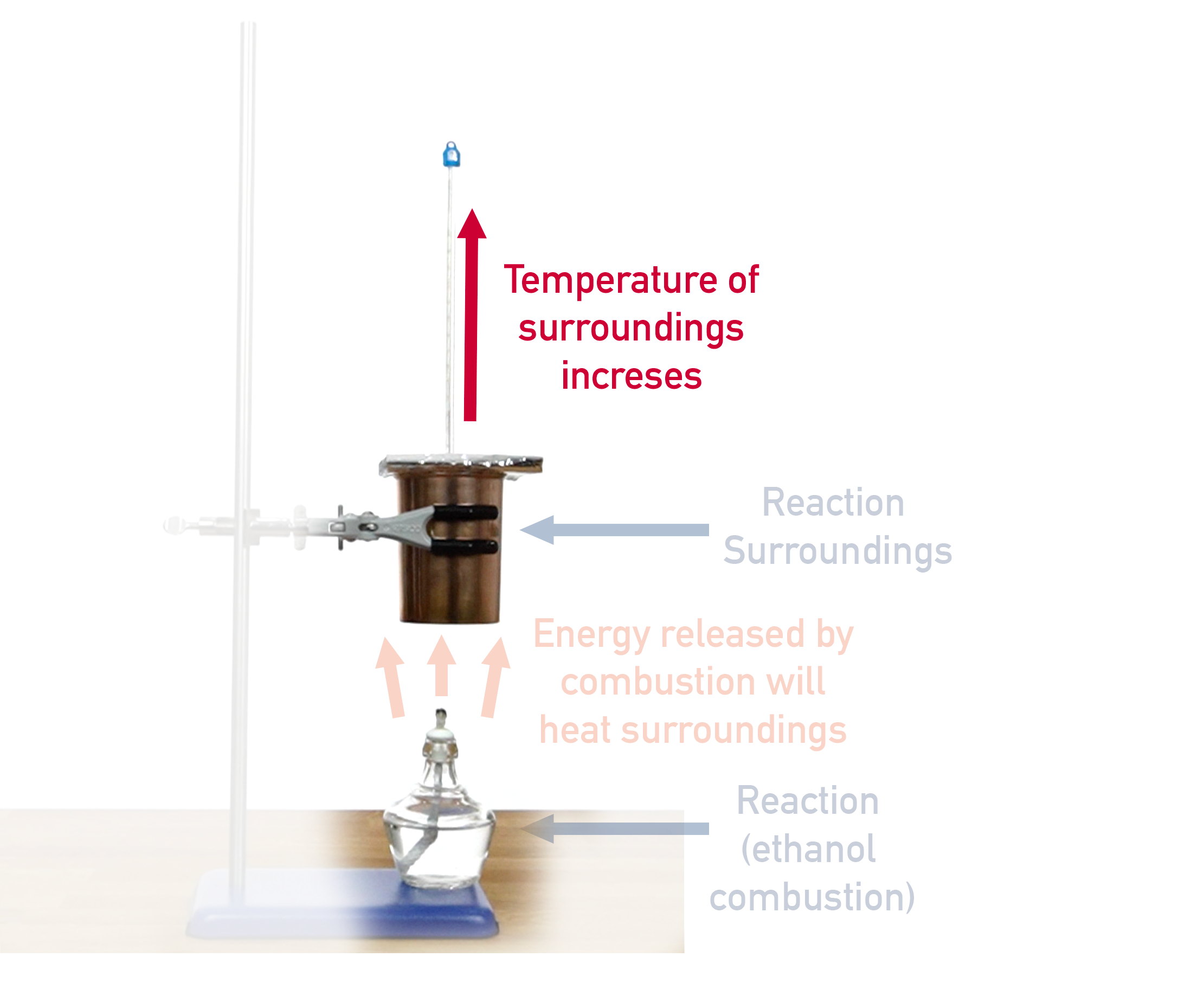 calorimetry experiment combustion of ethanol calorimeter  a-level chemistry