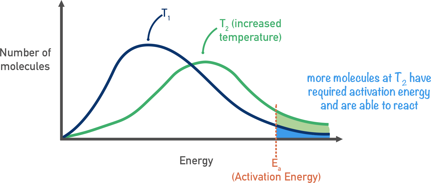 maxwell boltzmann distribution curves effect of temperature change activation energy a-level chemistry