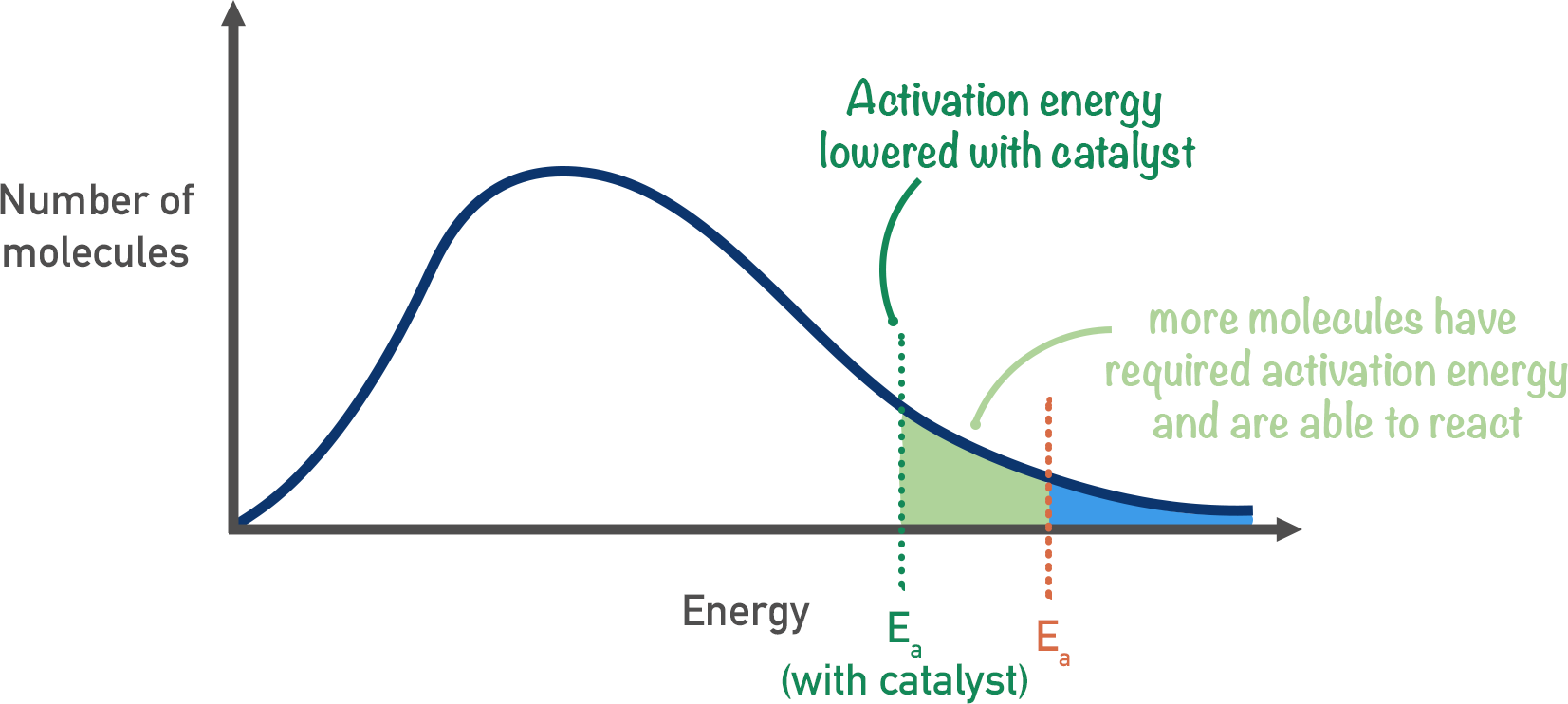 maxwell boltzmann distribution curve effect of catalyst activation energy a-level chemistry