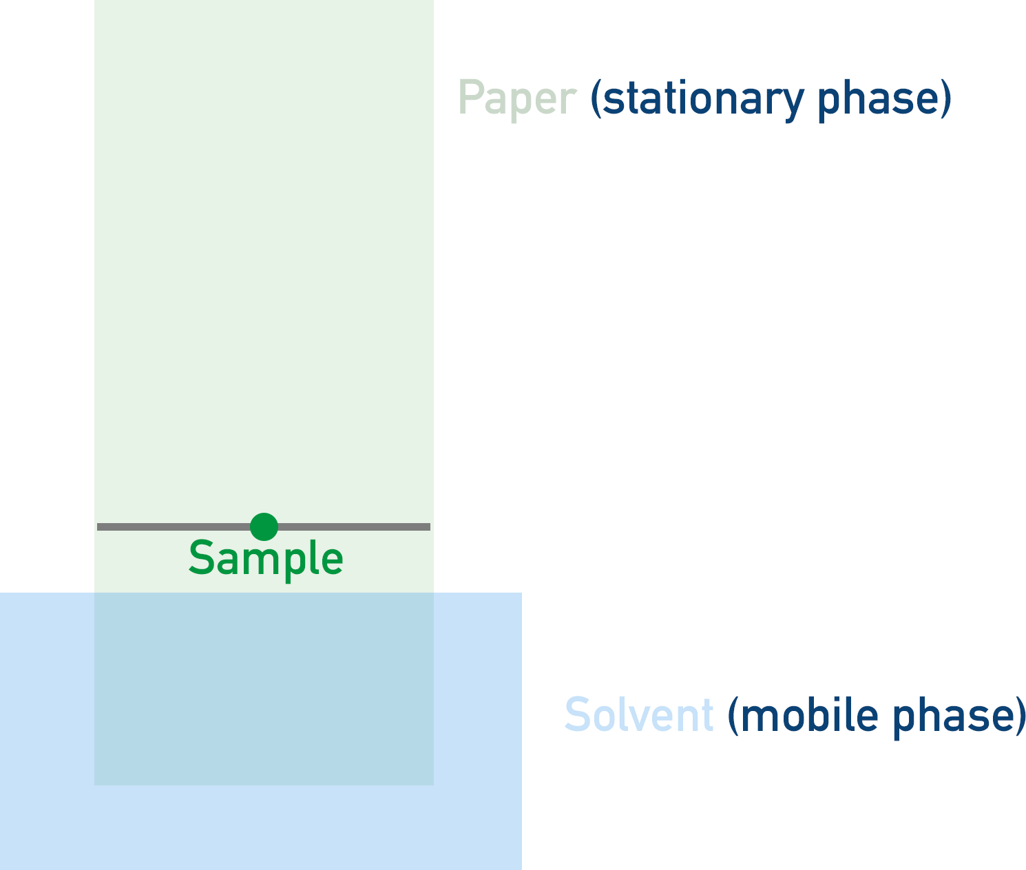 Paper chromatography mobile phase stationary phase