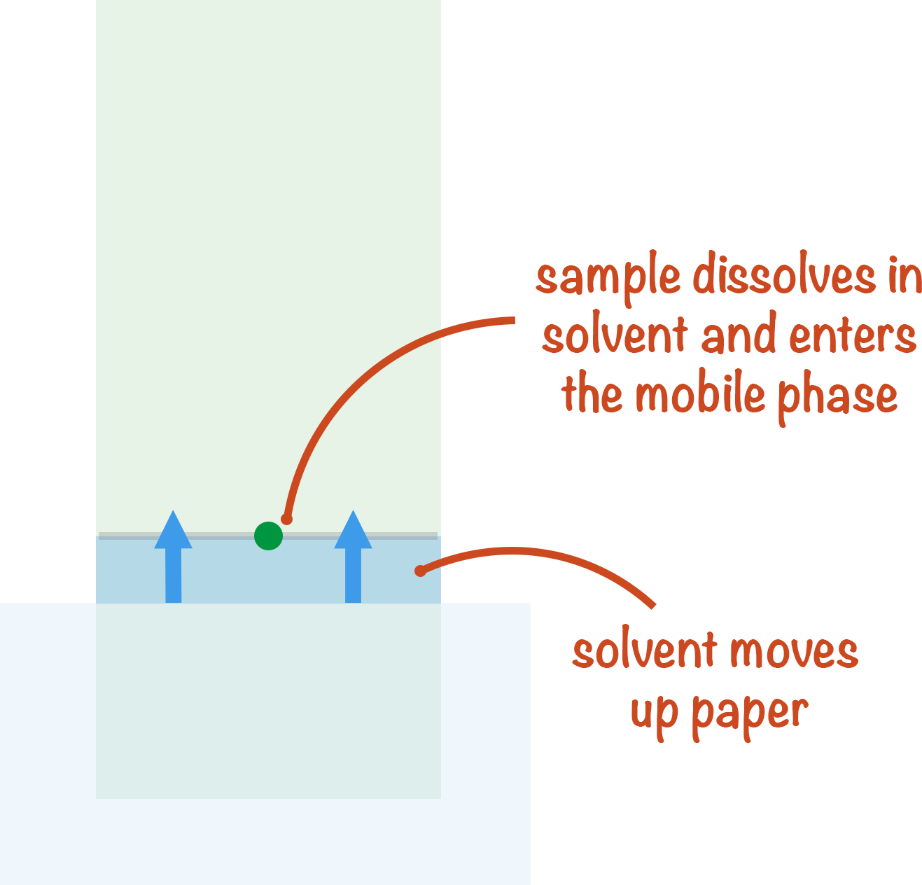 Paper chromatography capillary action solvent moving