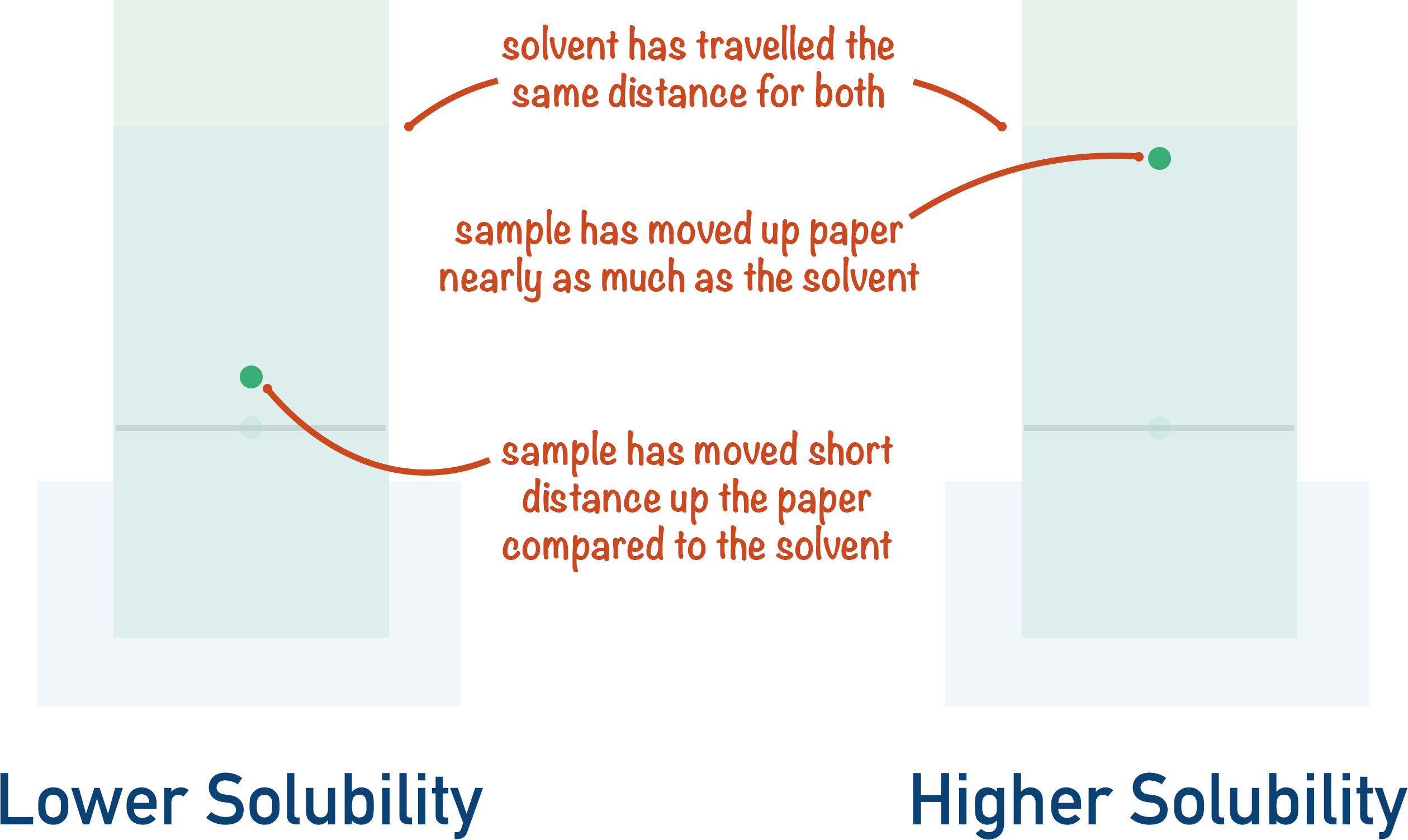 Paper chromatography solubility solvent front
