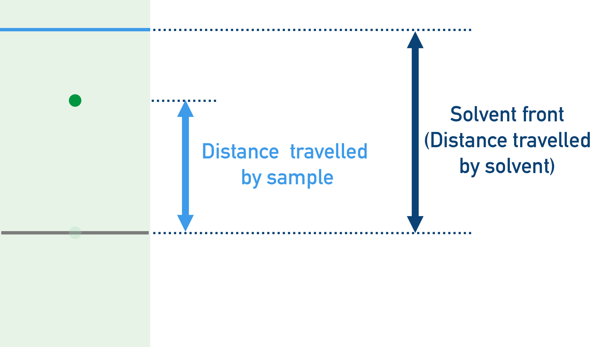 Paper chromatography sample distance and solvent front