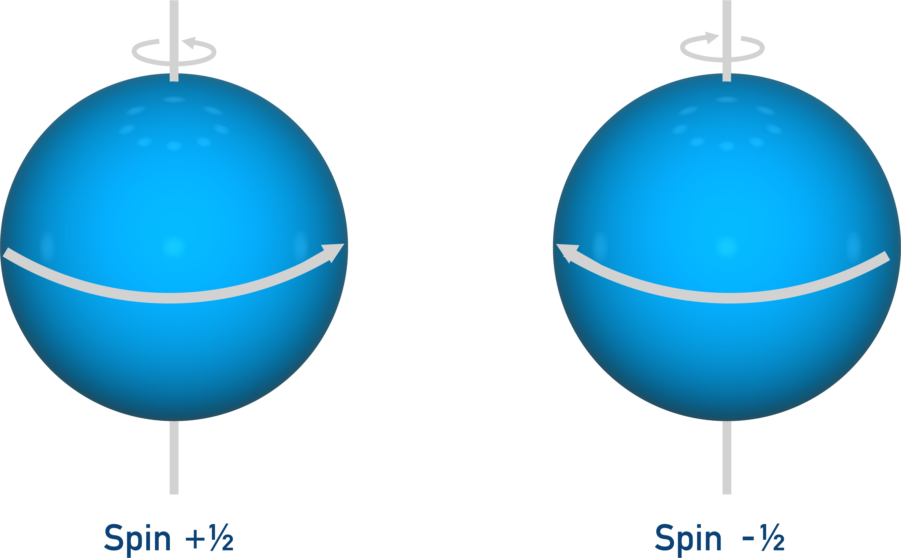 NMR spectroscopy particle spin