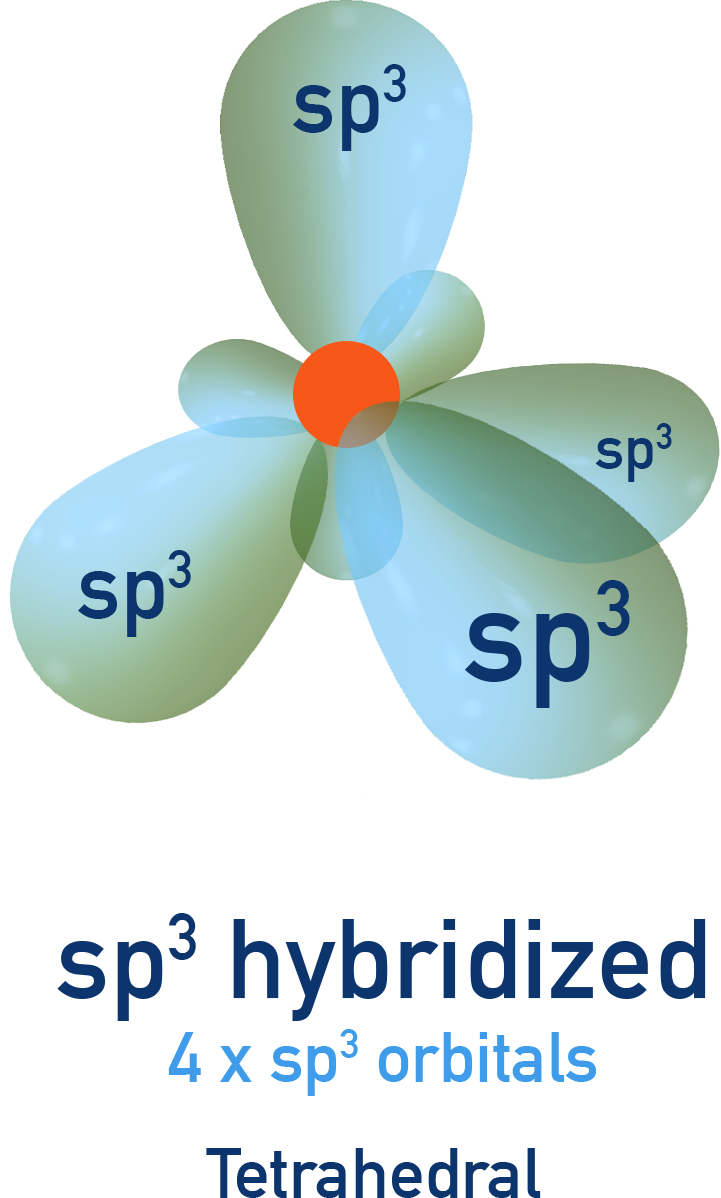 4 6 Hybridisation NCERT 11 Chemistry 4 6 Hybridisation NCERT 11 Chemistry