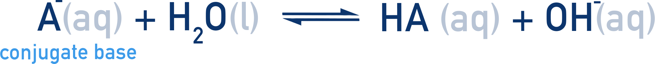 NCERT 11 Chemistry conjugate base reacting with water to give OH− and HA.