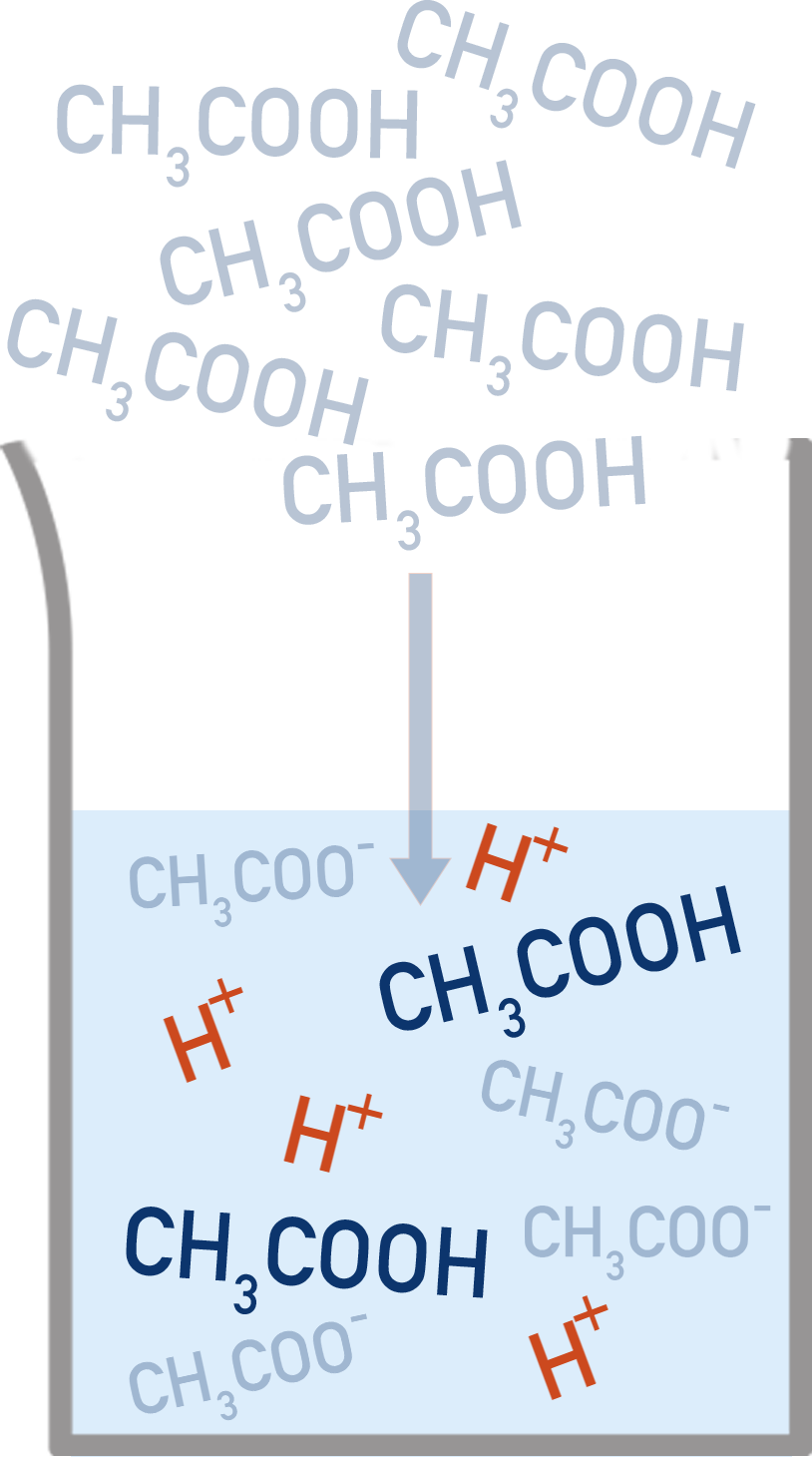 NCERT 11 Chemistry ethanoic acid dissociation showing CH3COOH in equilibrium with H3O+ and CH3COO−.