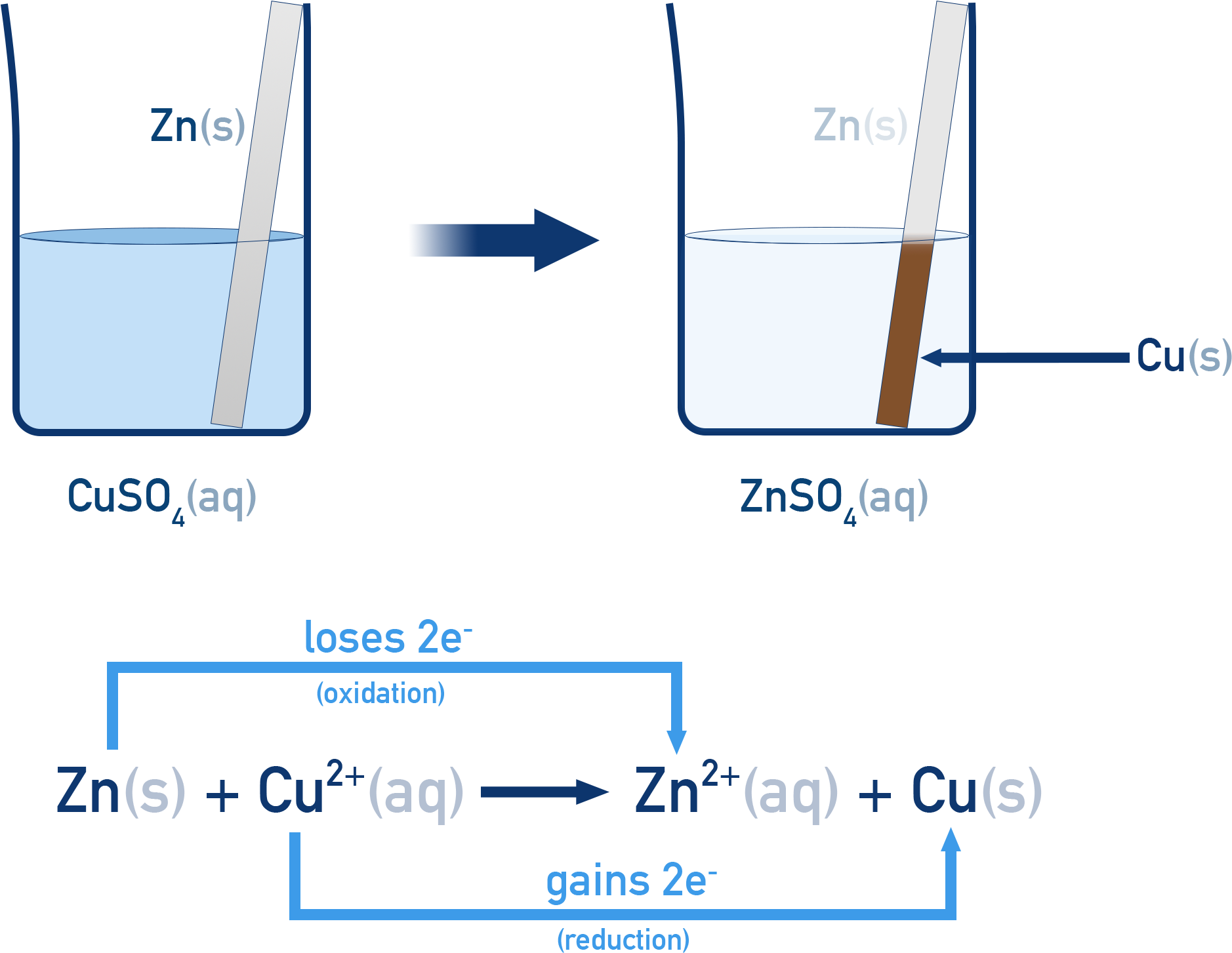 NCERT 11 Chemistry diagram showing a zinc rod dipped in copper sulfate where zinc is oxidised to Zn²⁺ and Cu²⁺ is reduced to copper metal.