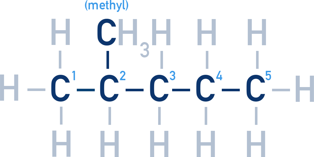 NCERT 11 Chemistry example diagram for IUPAC naming showing 2-methylpentane with the longest chain numbered and the methyl substituent at carbon 2.