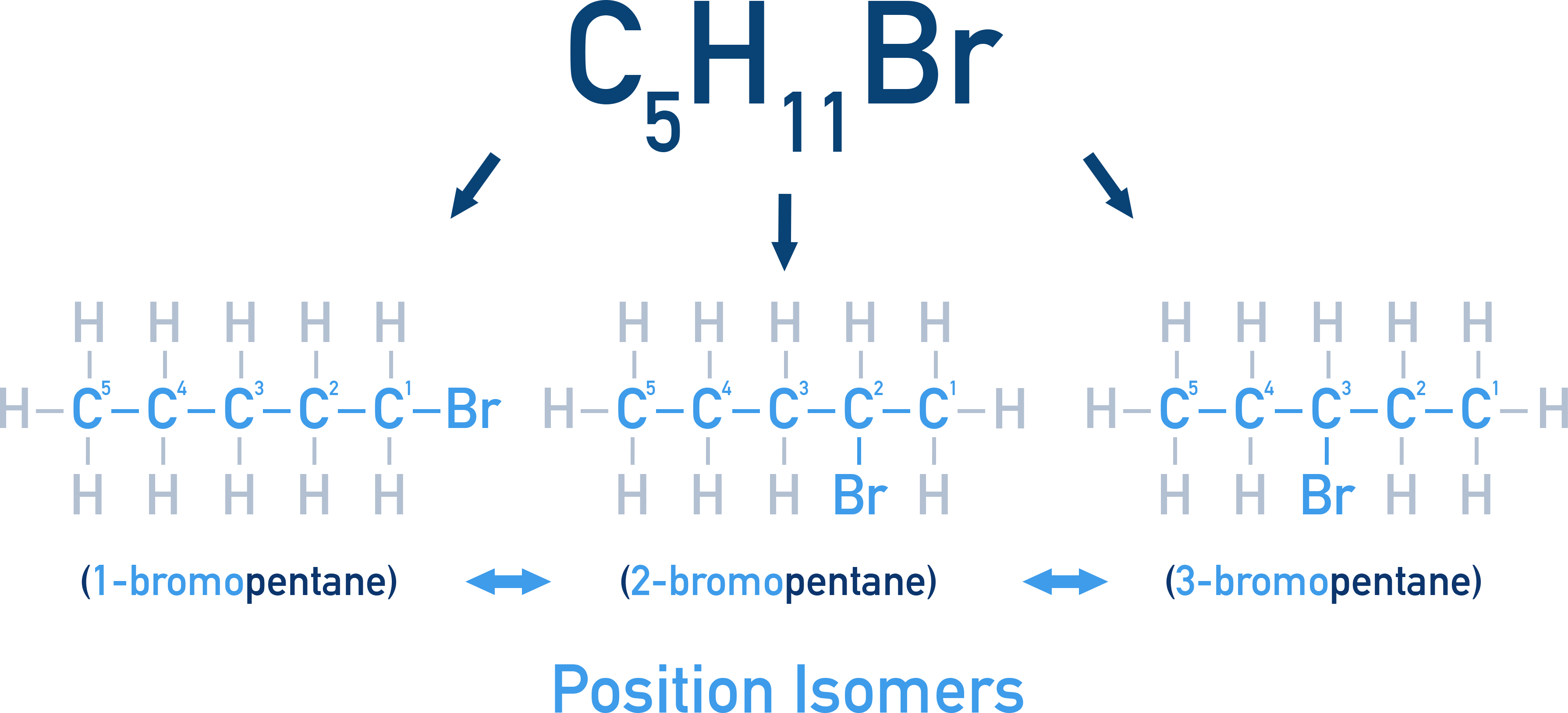 NCERT 11 Chemistry position isomerism with 1-bromopentane, 2-bromopentane, and 3-bromopentane showing different bromo positions on the chain.