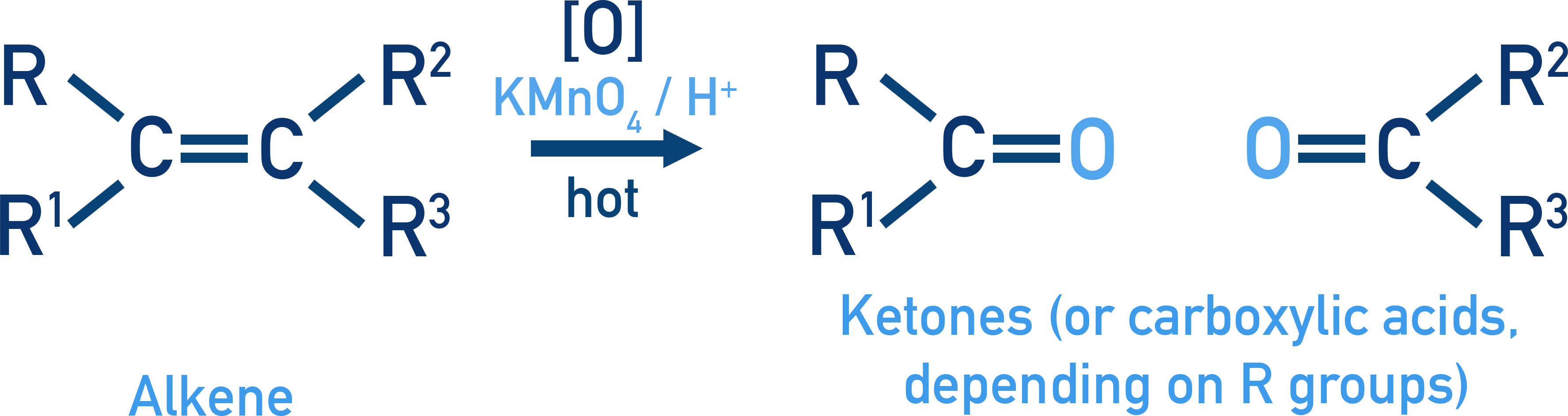 NCERT 11 Chemistry oxidative cleavage of alkenes by hot acidic KMnO4 forming carbonyl compounds acids depending on substitution.