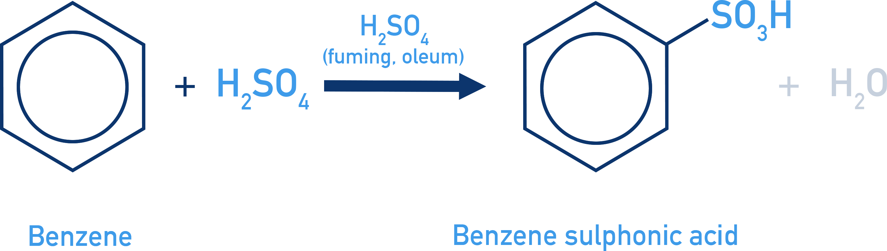IB Chemistry NCERT 11 sulphonation of benzene to benzenesulfonic acid using fuming sulfuric acid.