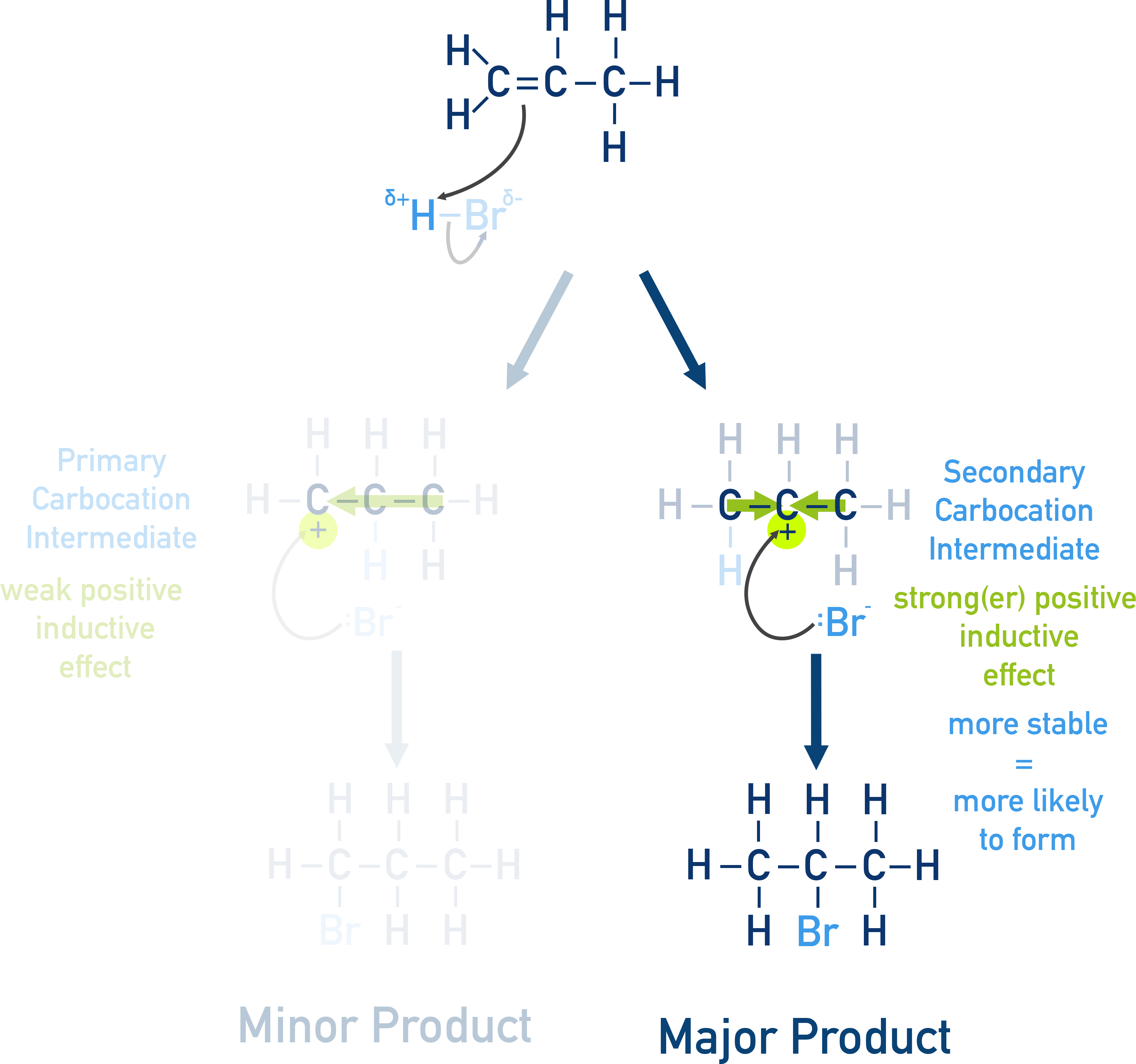 NCERT 11 Chemistry Markovnikov addition to propene with HBr forming secondary carbocation and 2-bromopropane as major product.
