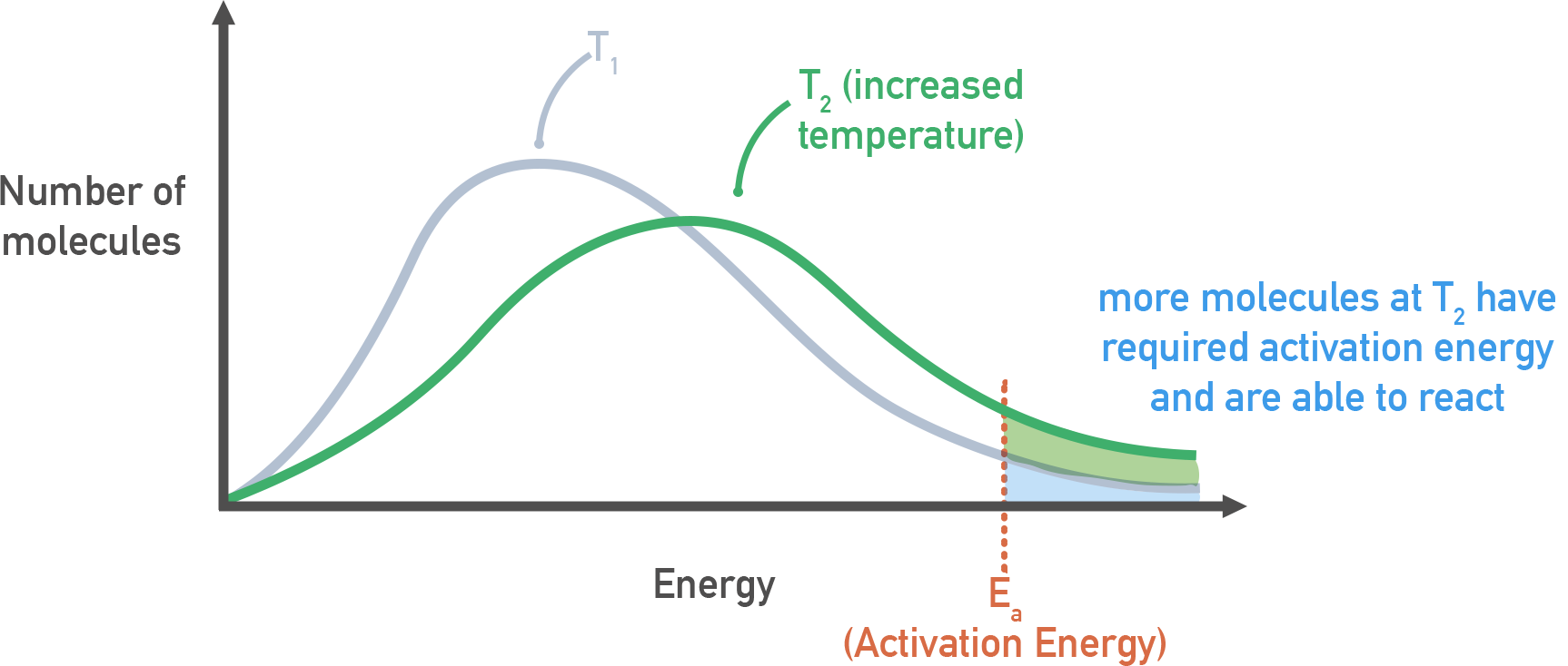 NCERT 12 Chemistry temperature dependence: Maxwell–Boltzmann curves at higher temperature showing increased fraction above E a in NCERT Class 12.