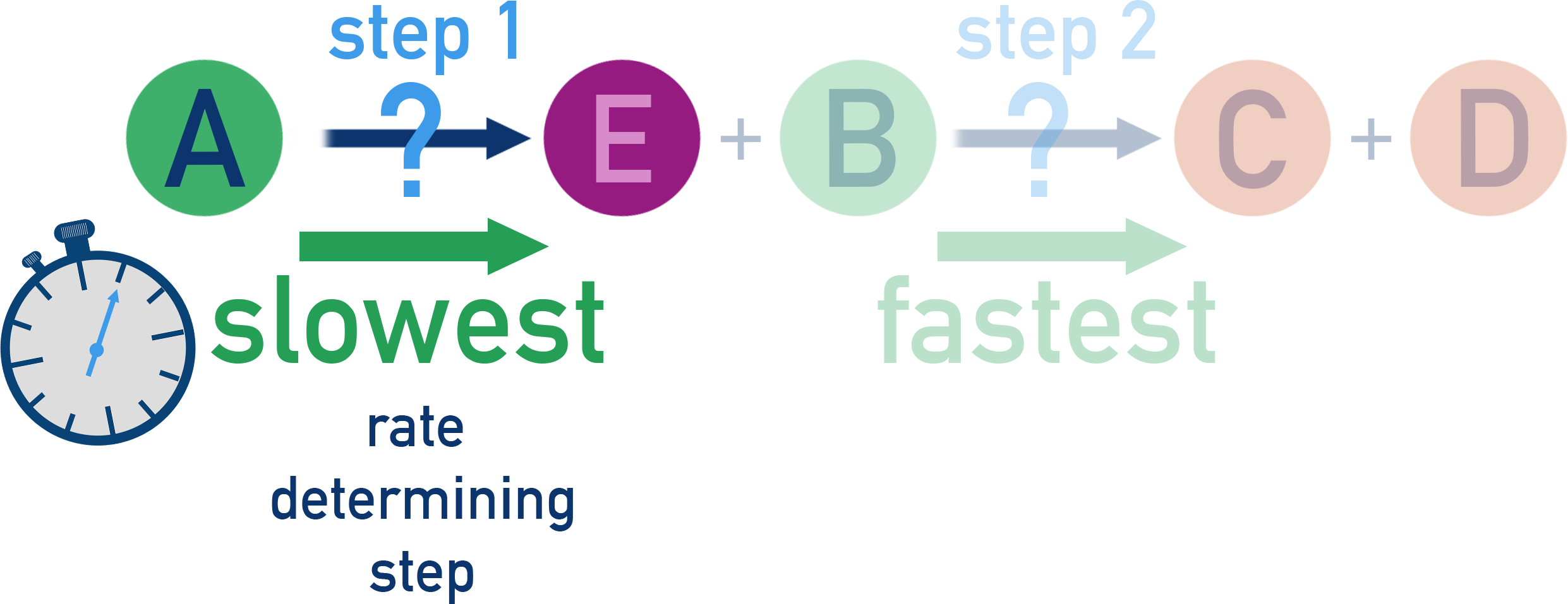 NCERT 12 Chemistry diagram highlighting the slowest step as the rate-determining step in a reaction mechanism.