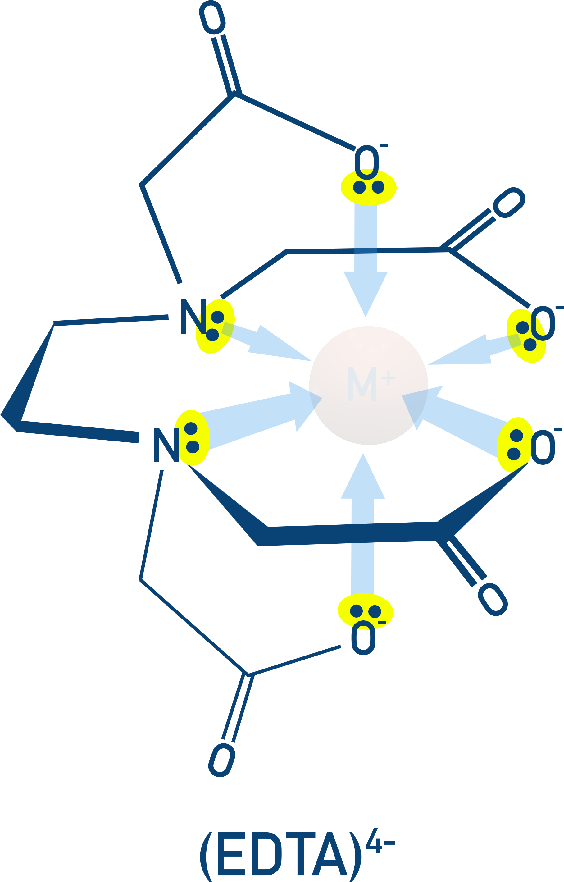 NCERT 12 Chemistry schematic of EDTA4− wrapping a metal ion with multiple donor atoms (polydentate chelation).