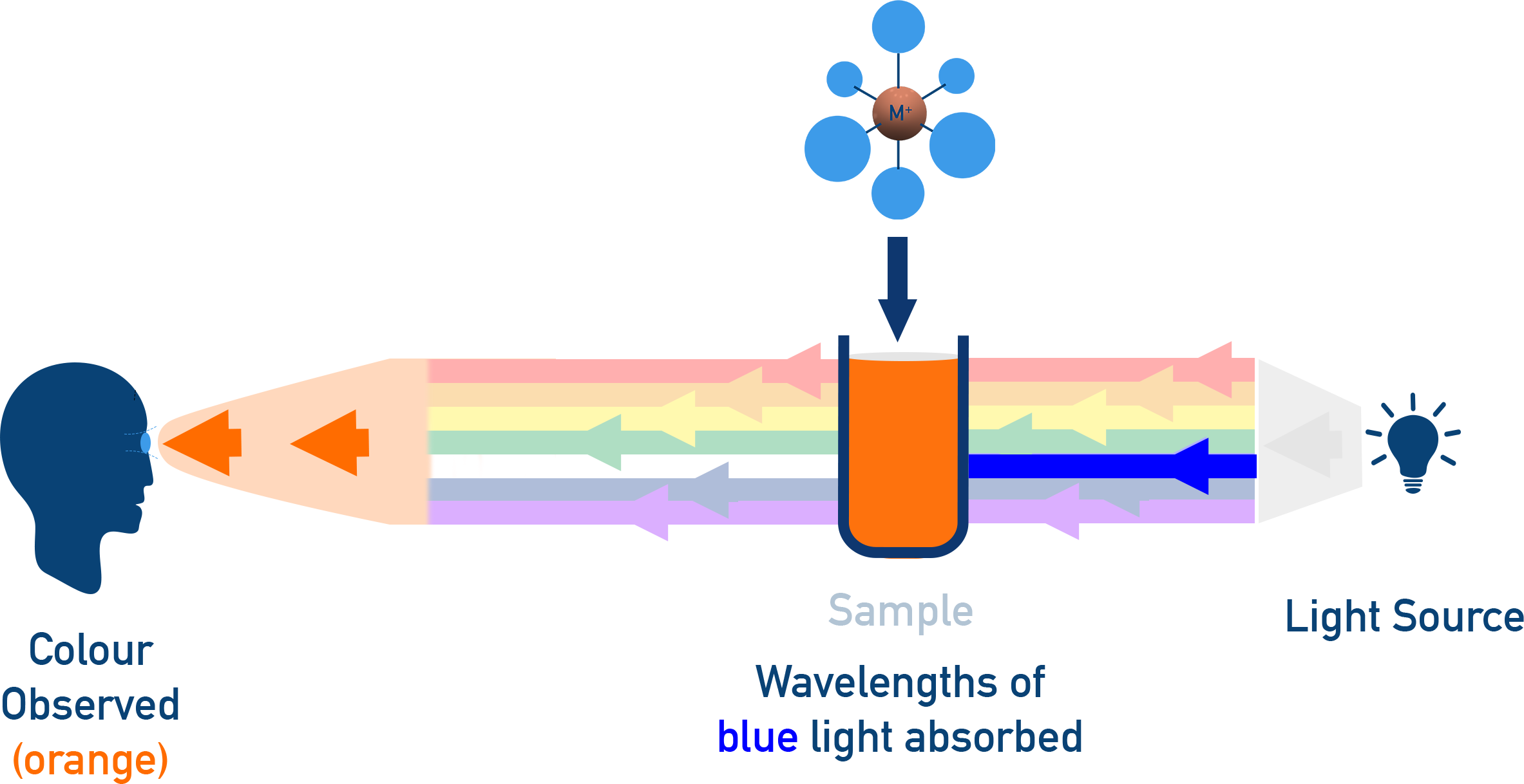 NCERT 12 Chemistry colour wheel showing complementary colours observed when a specific wavelength is absorbed by a coordination complex (NCERT Class 11).