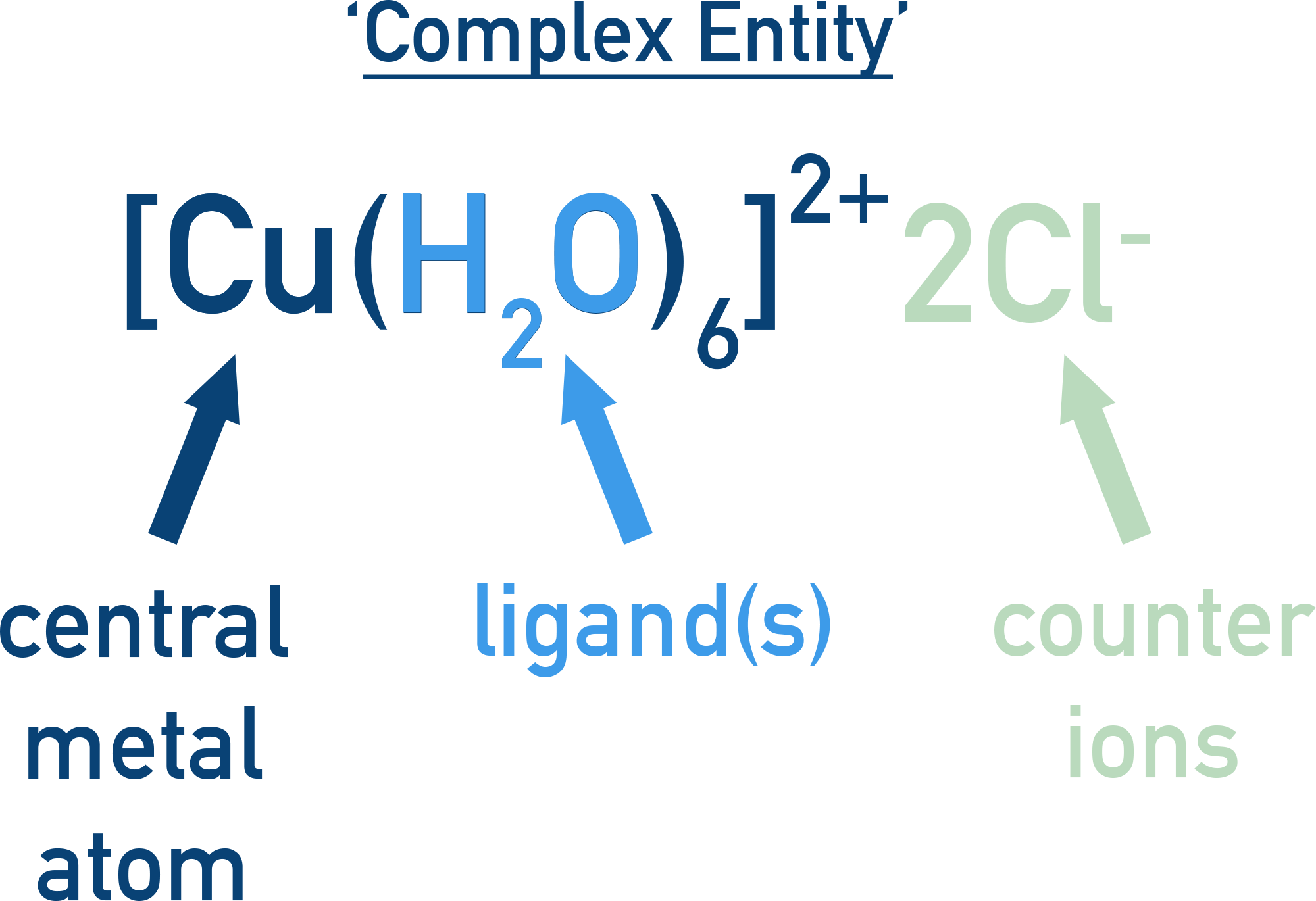 NCERT 12 Chemistry coordination entity diagram showing a central metal ion with ligands inside square brackets and counter ions outside.