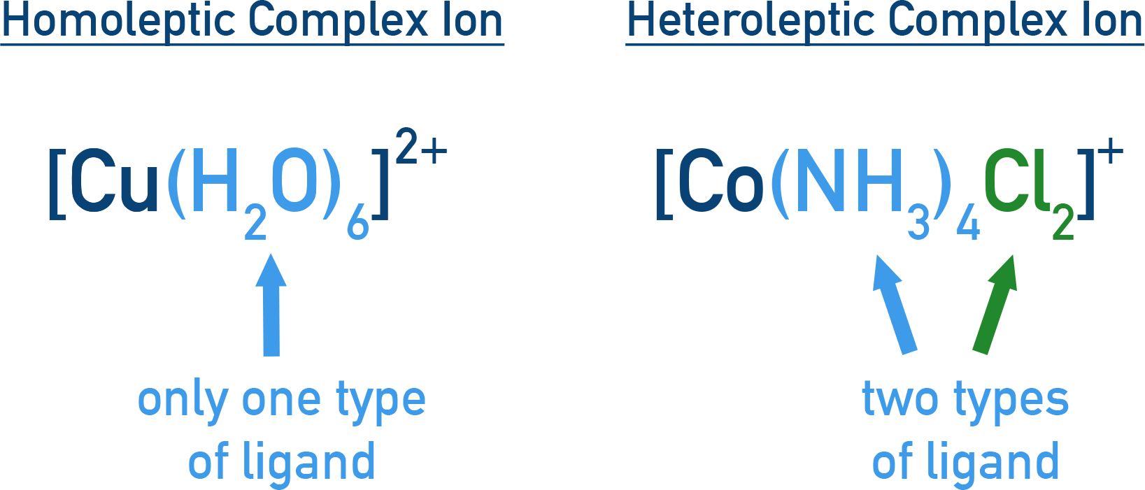 NCERT 12 Chemistry comparison of homoleptic versus heteroleptic complexes based on ligand types bound to the metal.
