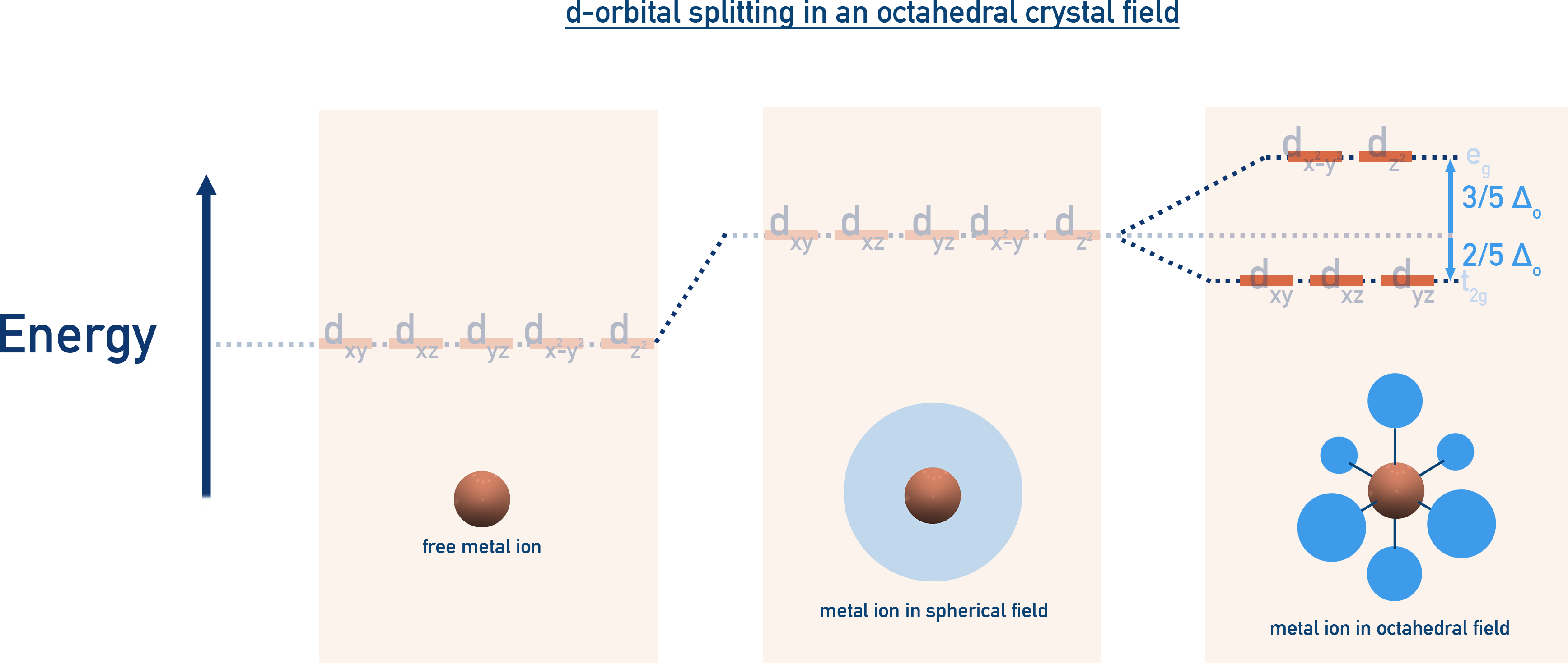 NCERT 12 Chemistry diagram of octahedral crystal field splitting into t2g and eg sets with Δo under NCERT Class 11 Coordination Compounds.
