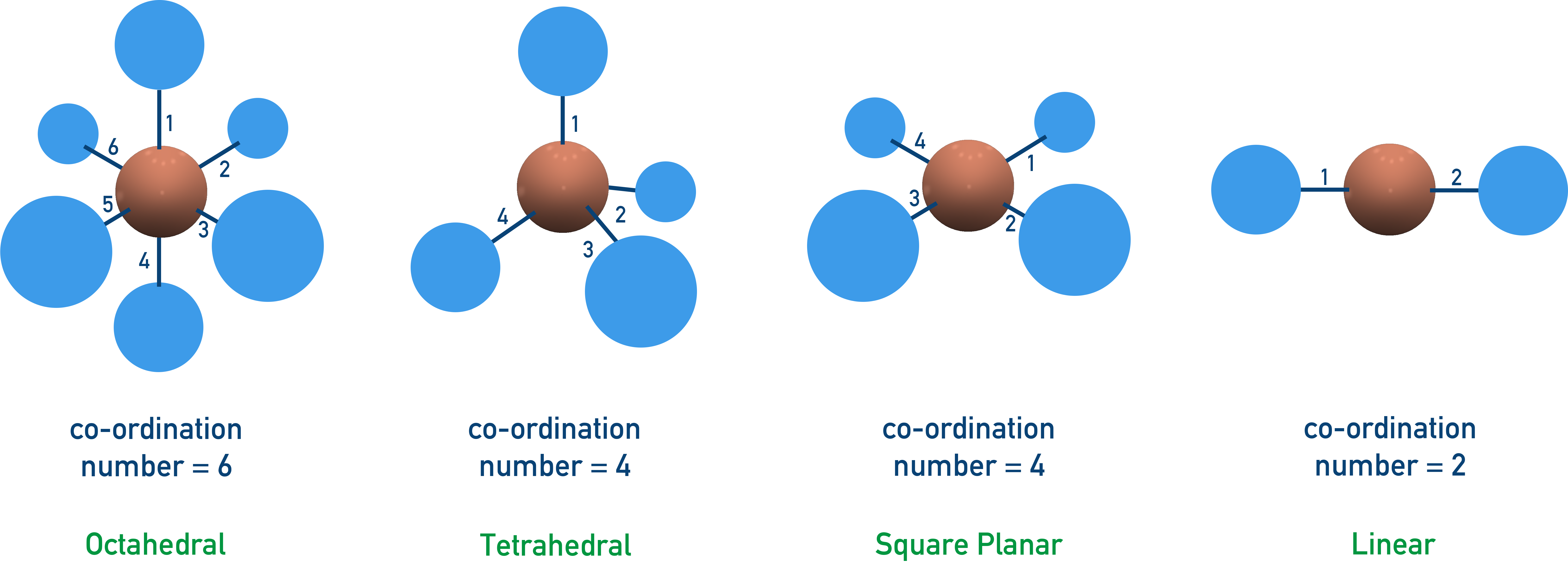 NCERT 12 Chemistry illustrations of common coordination polyhedra including octahedral, tetrahedral, and square planar geometries.