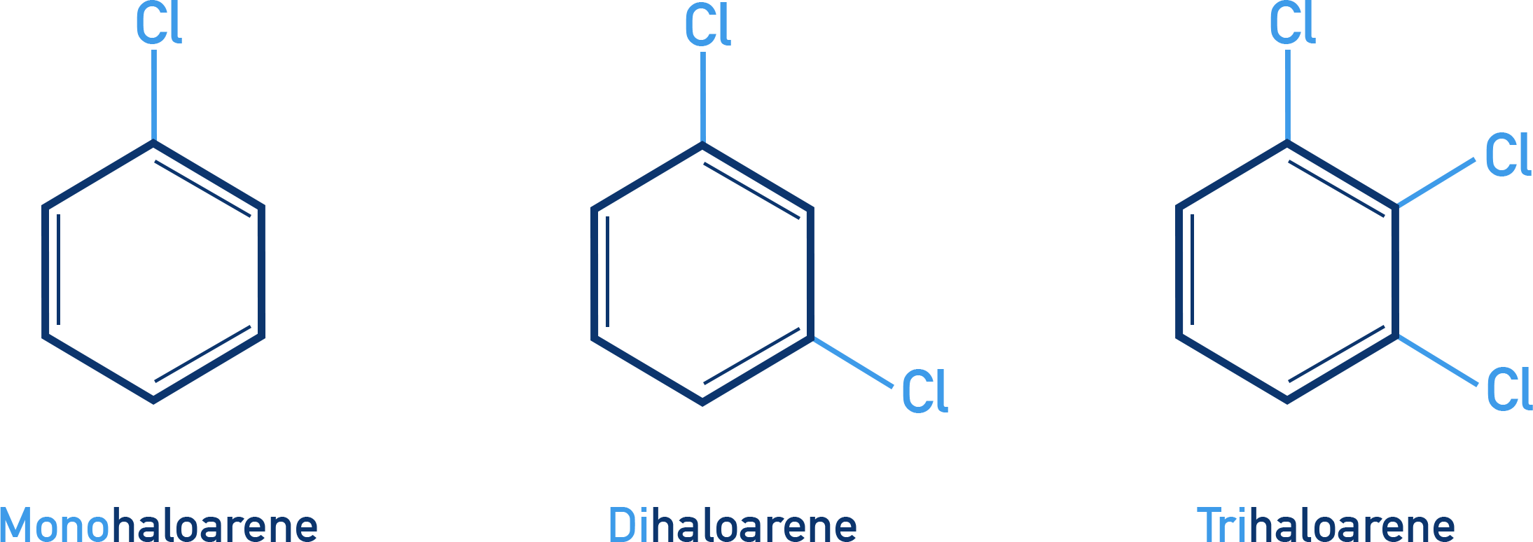 Chemistry classification chart for haloarenes by number of halogen atoms with NCERT Class 12 examples.