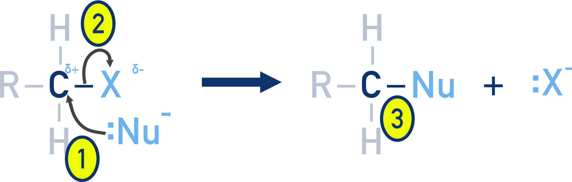 NCERT Class 12 Chemistry reaction profile for an SN2 substitution with a single-step concerted mechanism.