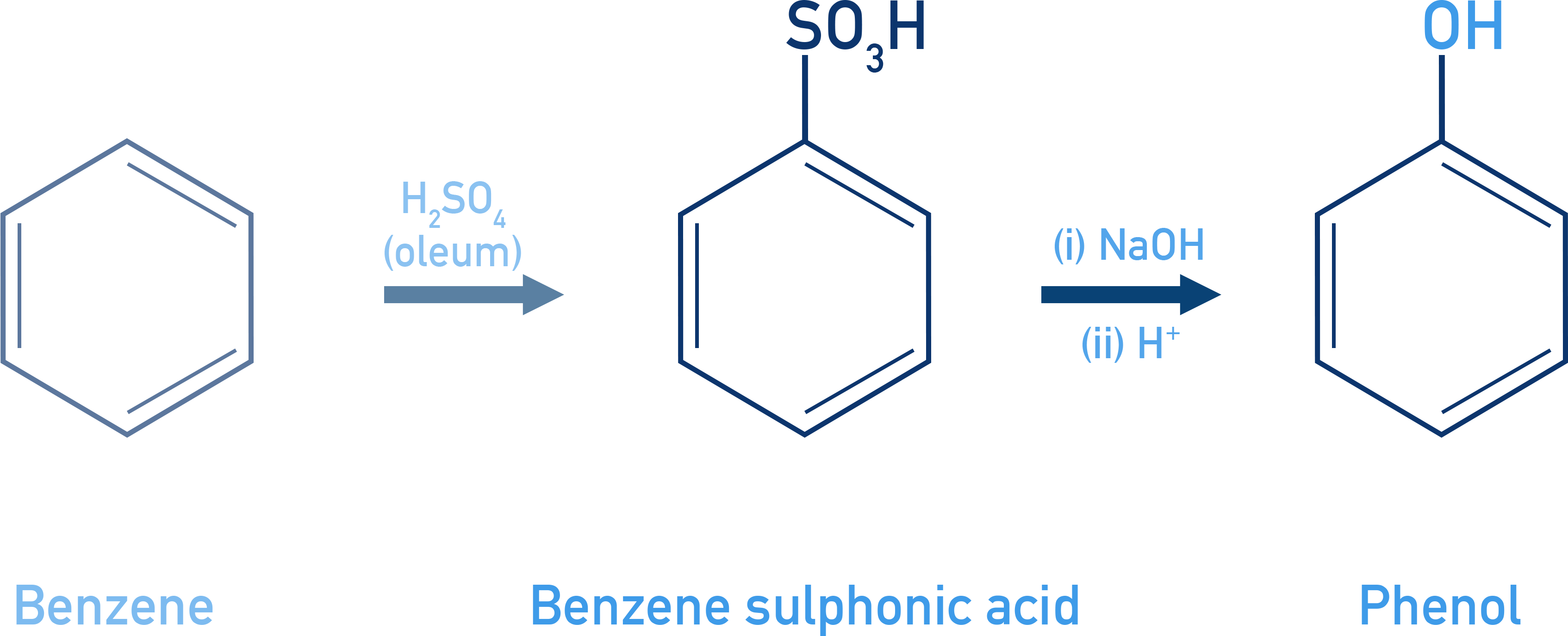 NCERT Class 12 Chemistry alkaline fusion of benzenesulphonic acid to sodium phenoxide followed by acidification to phenol.
