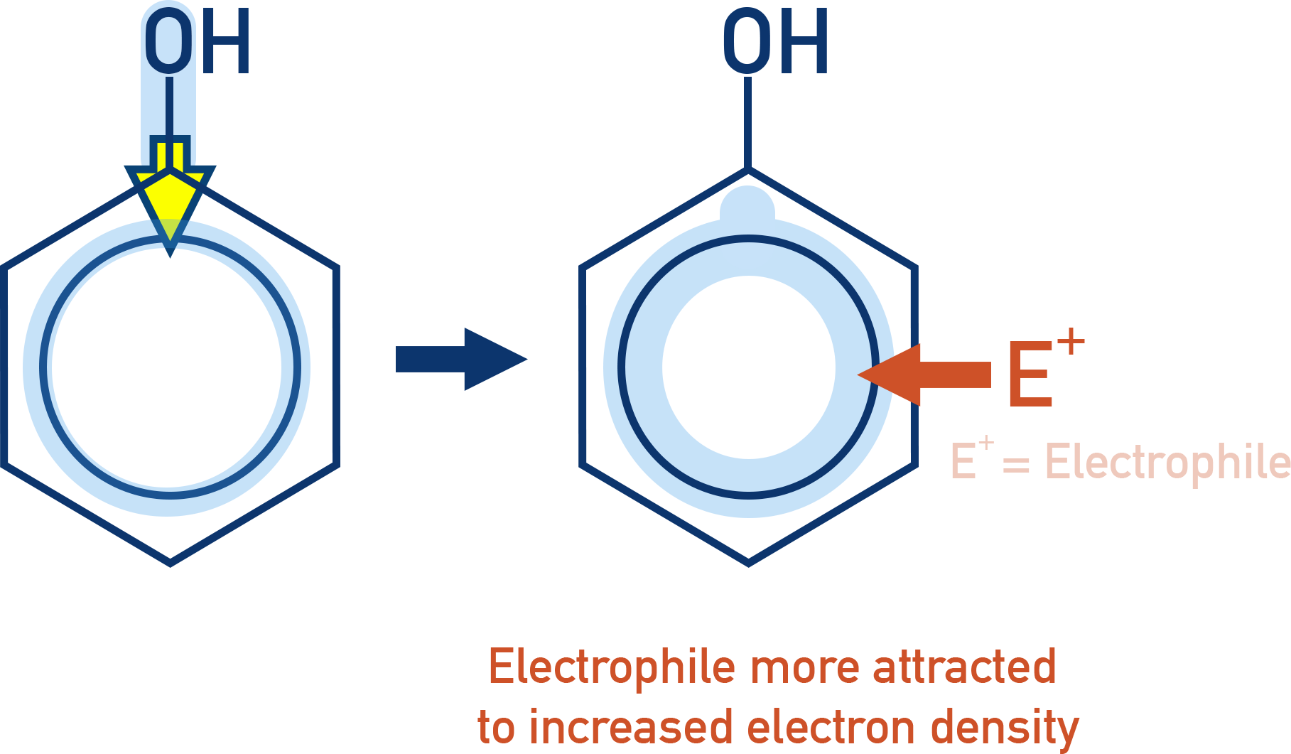 NCERT Class 12 Chemistry electron density map of phenol indicating activation at ortho and para positions.